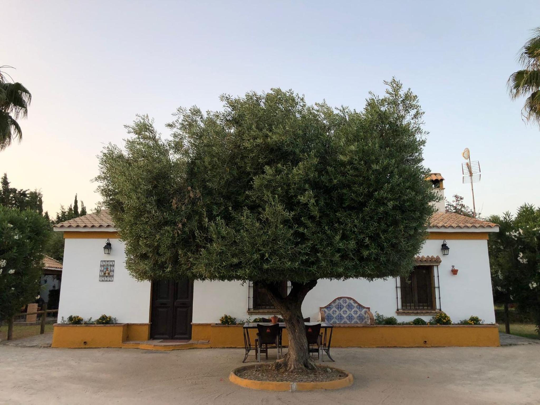 Holiday Home photo 3