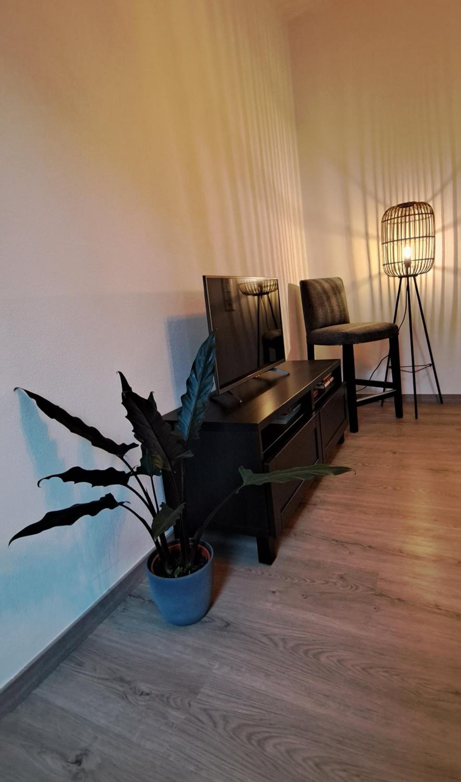 Apartment with Balcony photo 3