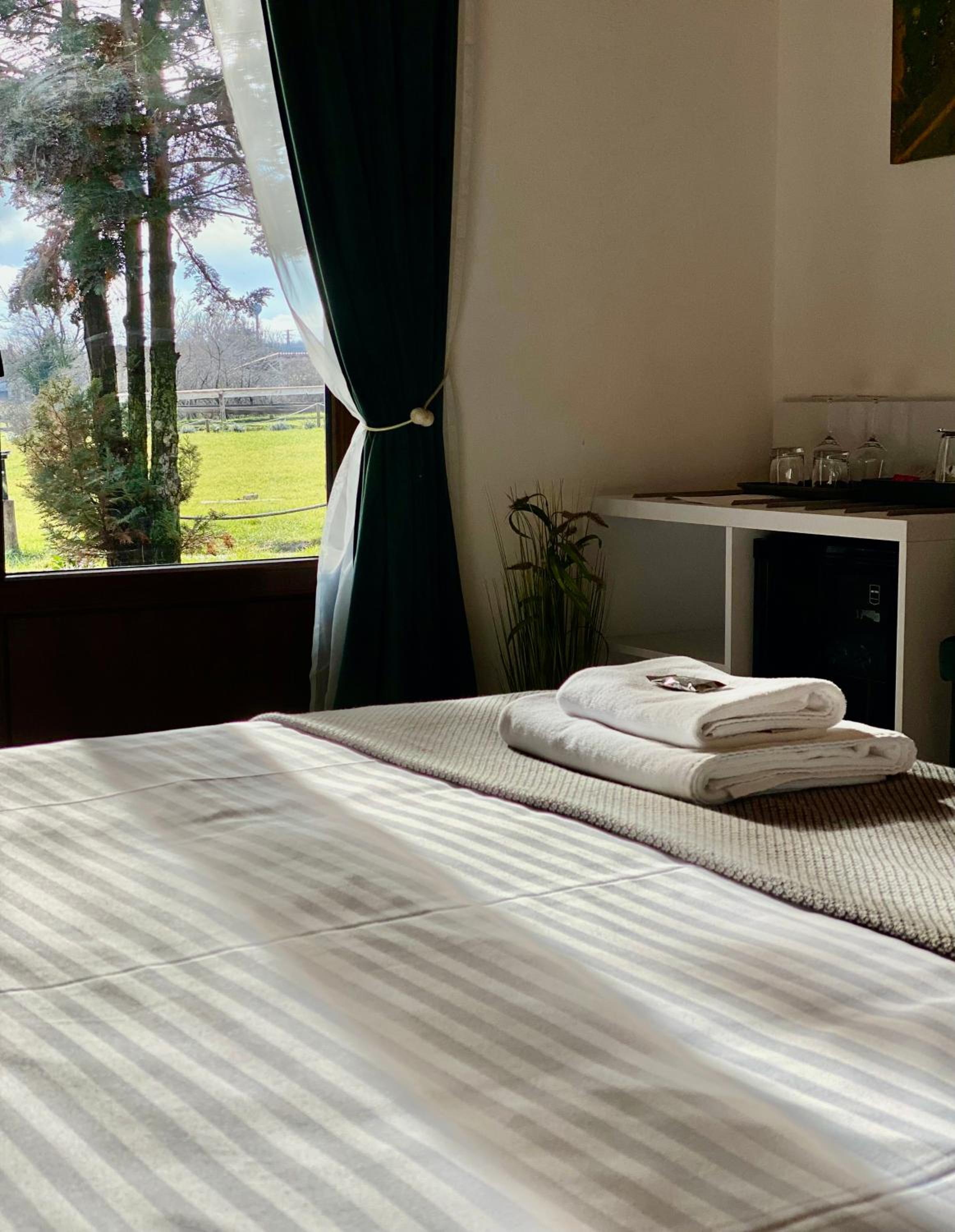 Deluxe Double Room photo 3