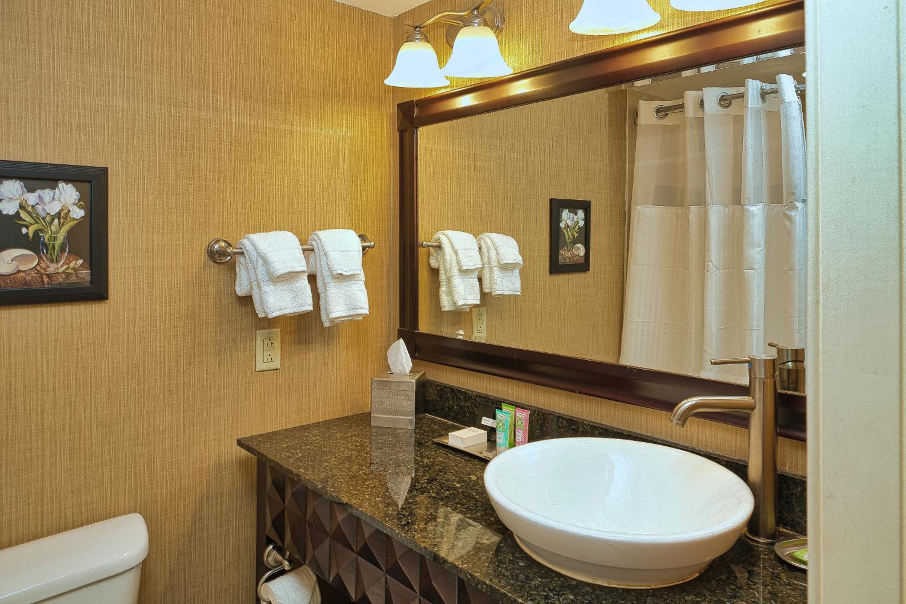 King Room - Disability Access - Photo 11