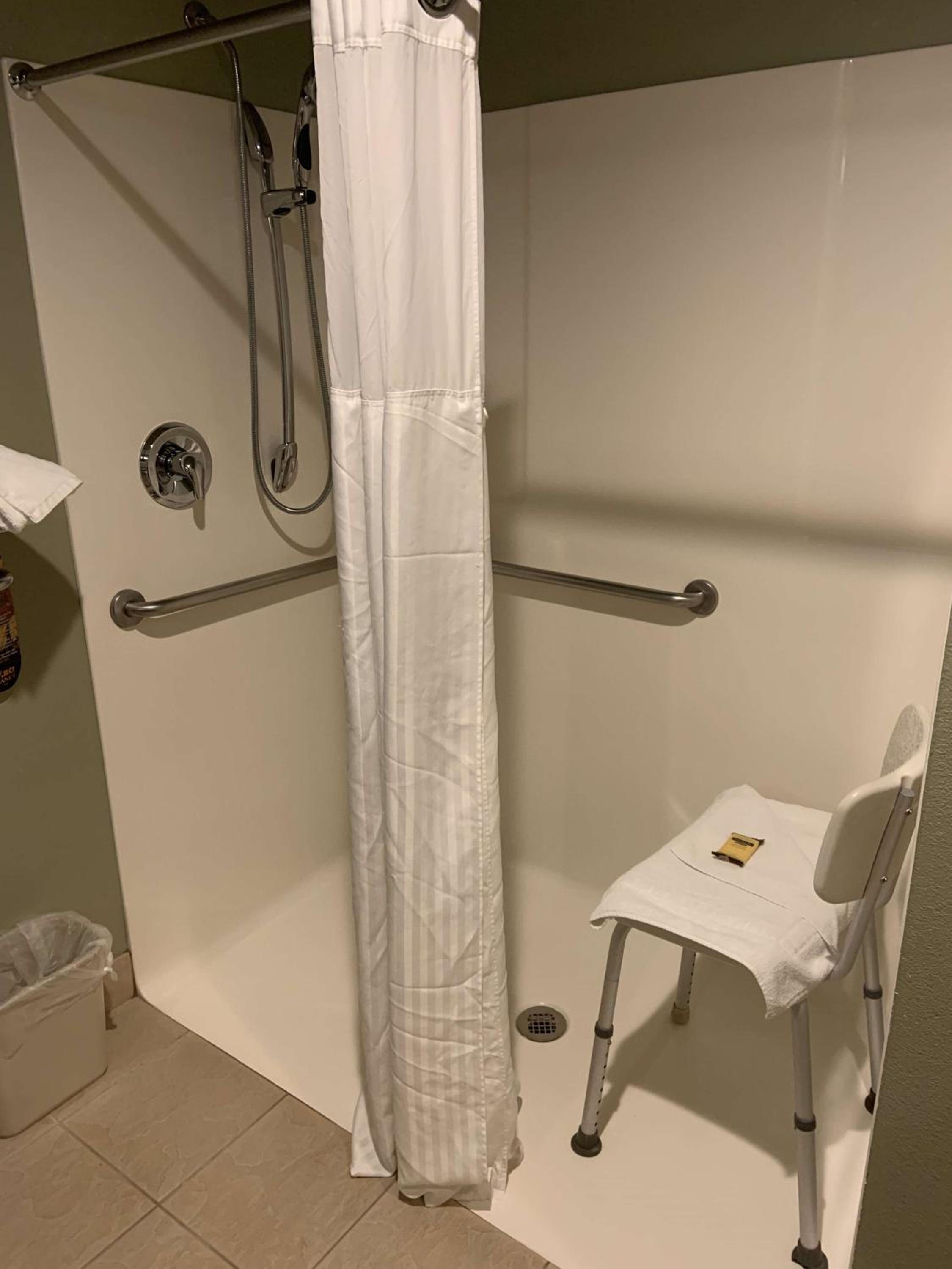 Queen Room - Mobility Accessible with Roll-In Shower - Photo 6