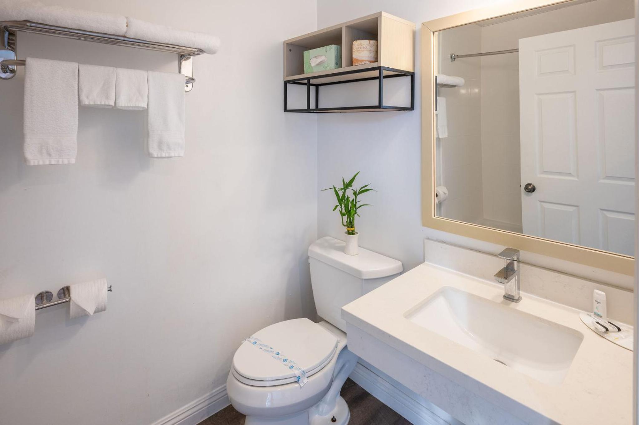 King Studio Suite - Non-Smoking - Photo 5