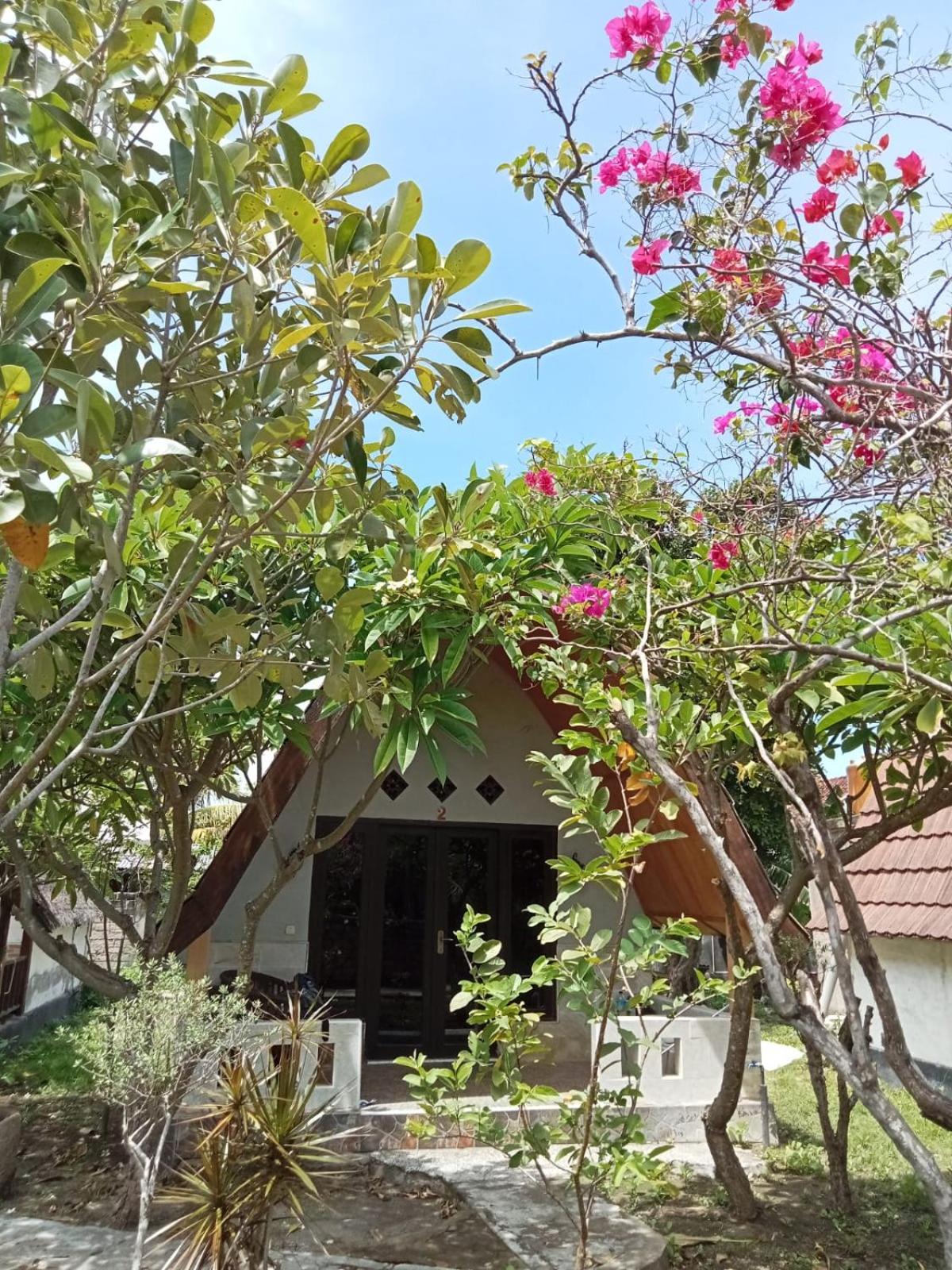 Double Room with Garden View photo 3