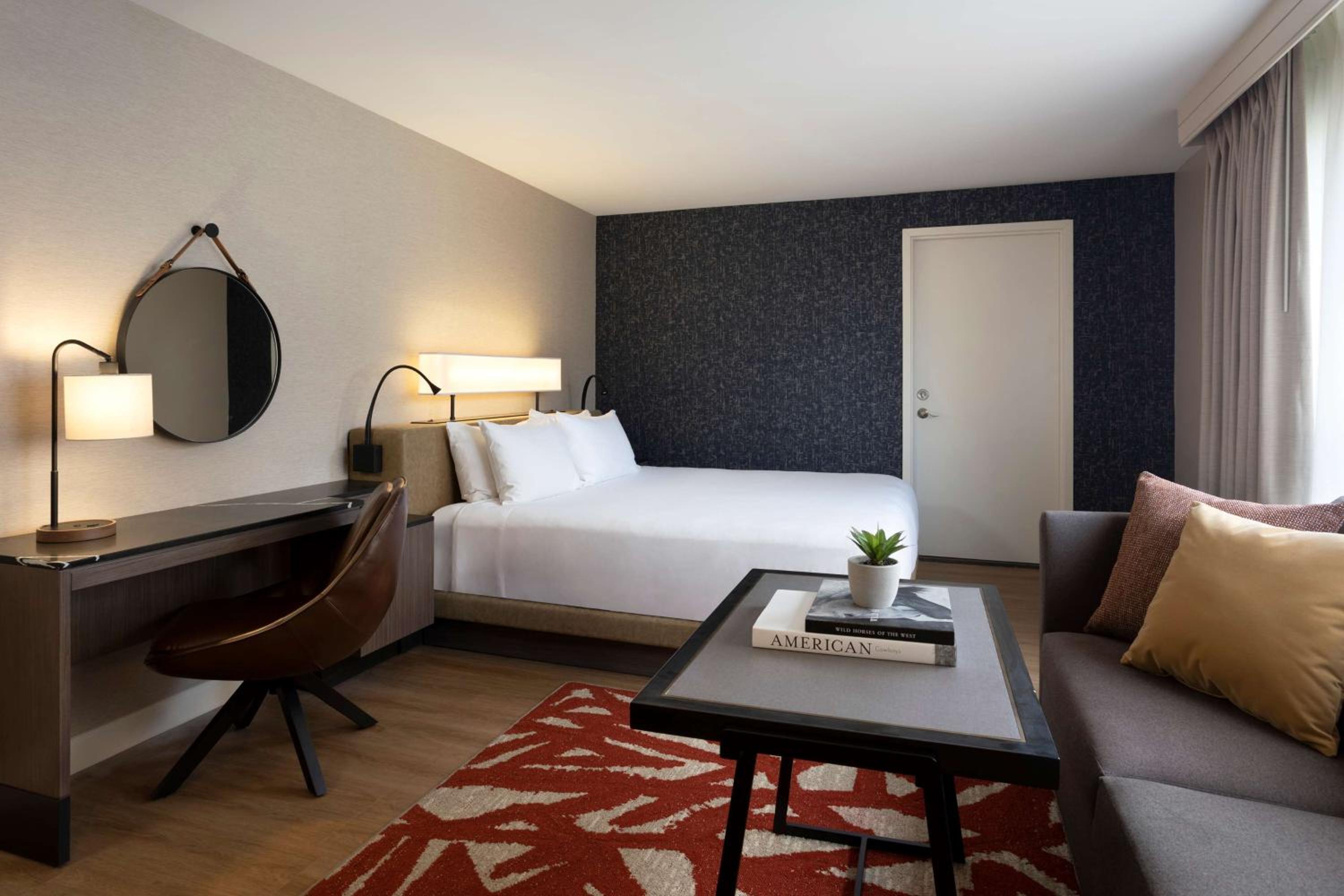 Suite - Photo 1
