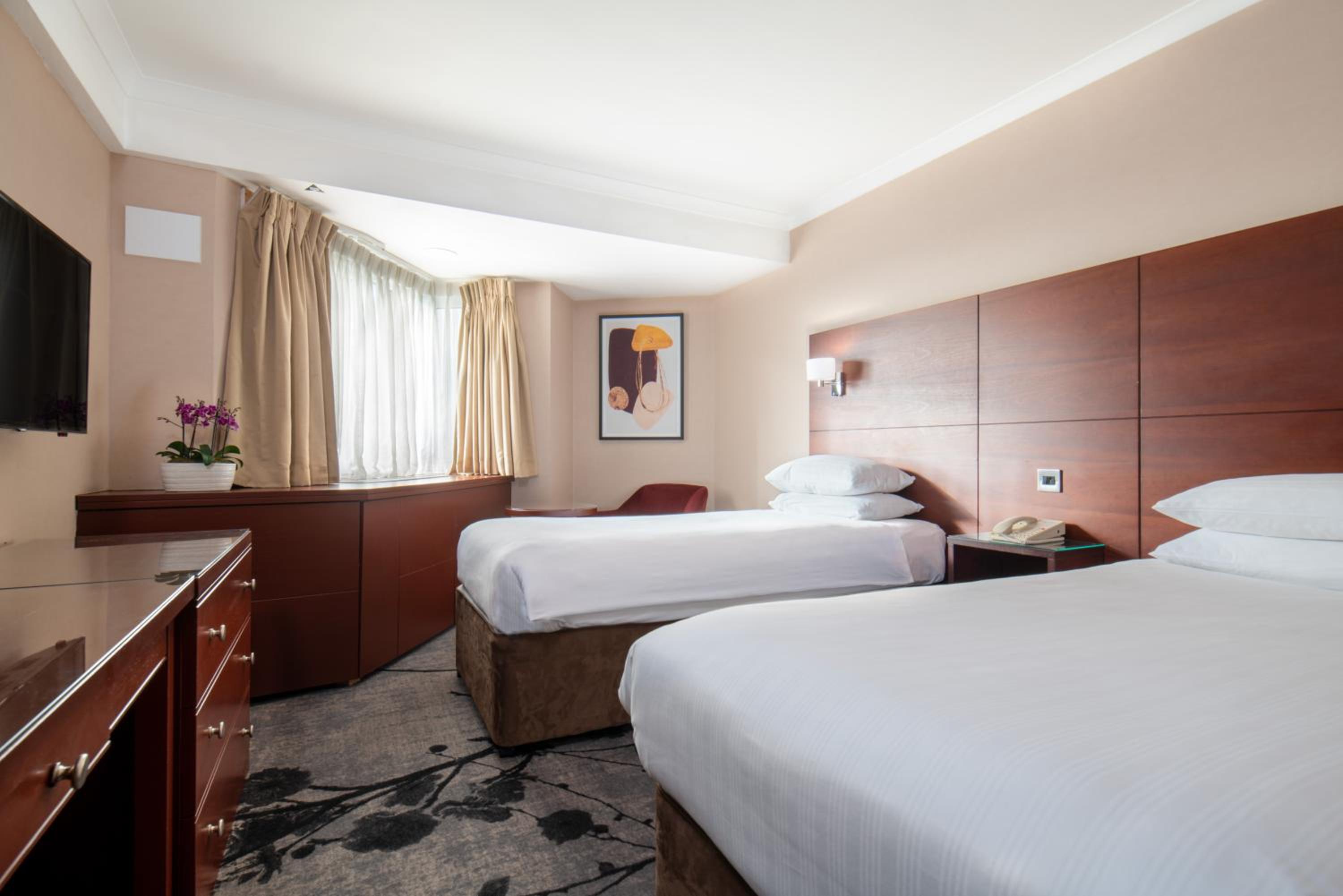 Standard Twin Room photo 1