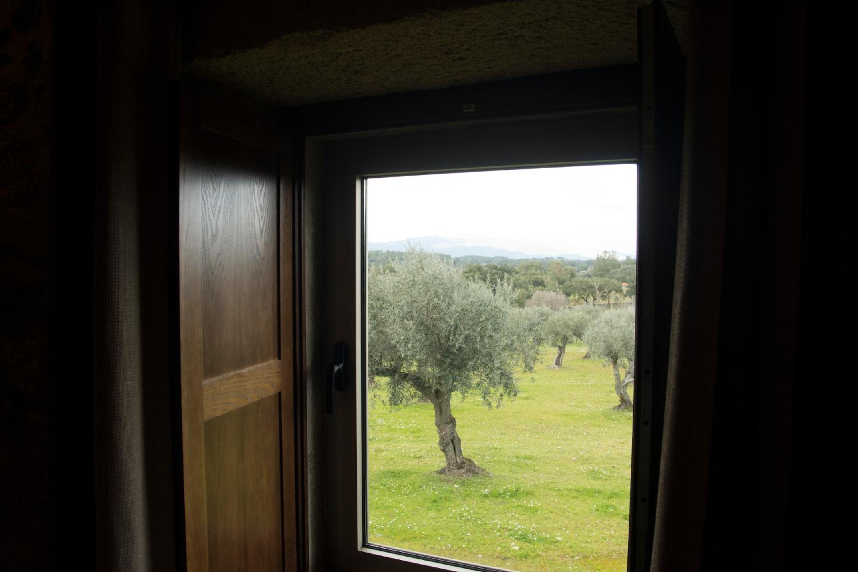 Twin Room - Photo 3
