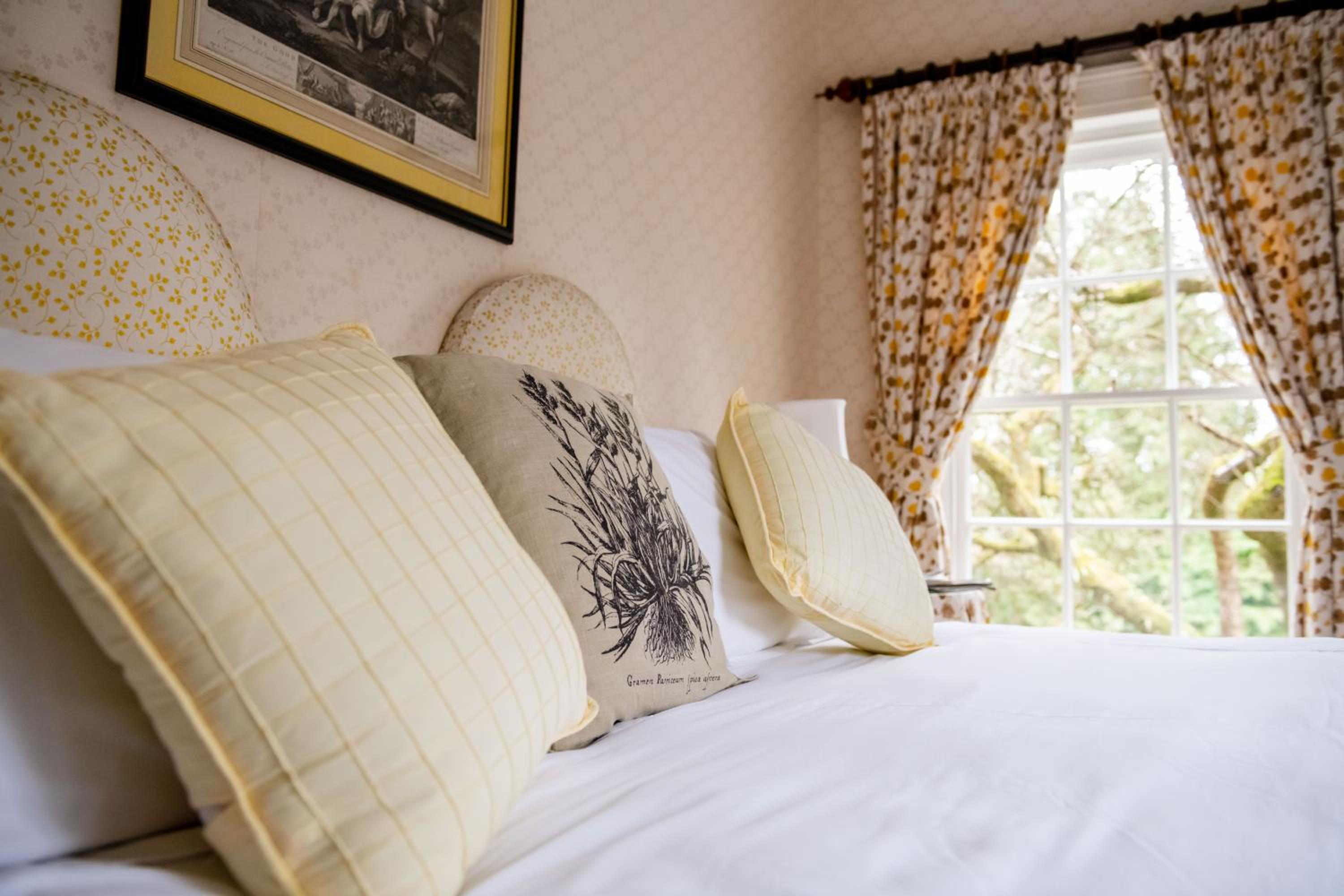 Deluxe Twin Room - Photo 2
