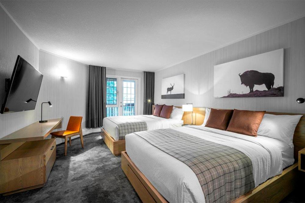 Premium Queen Room with Two Queen Beds - Photo 4