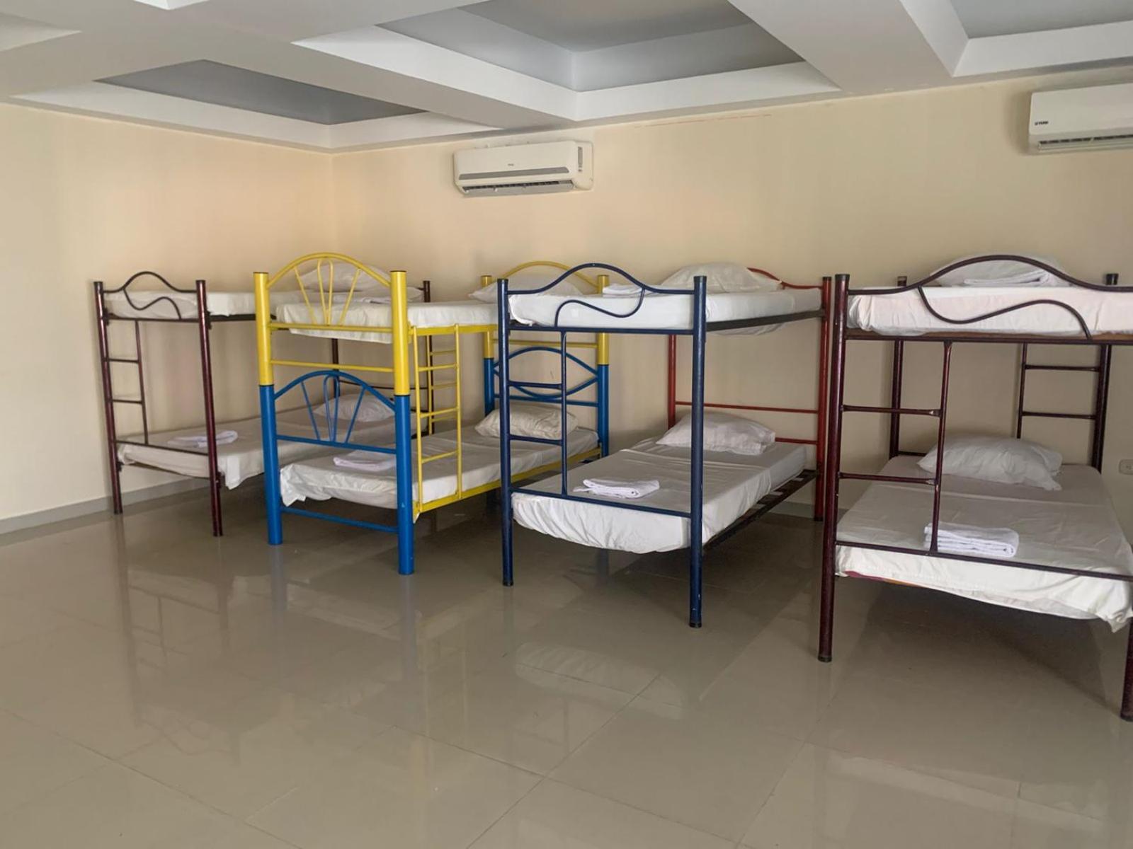 Bunk Bed in Mixed Dormitory Room