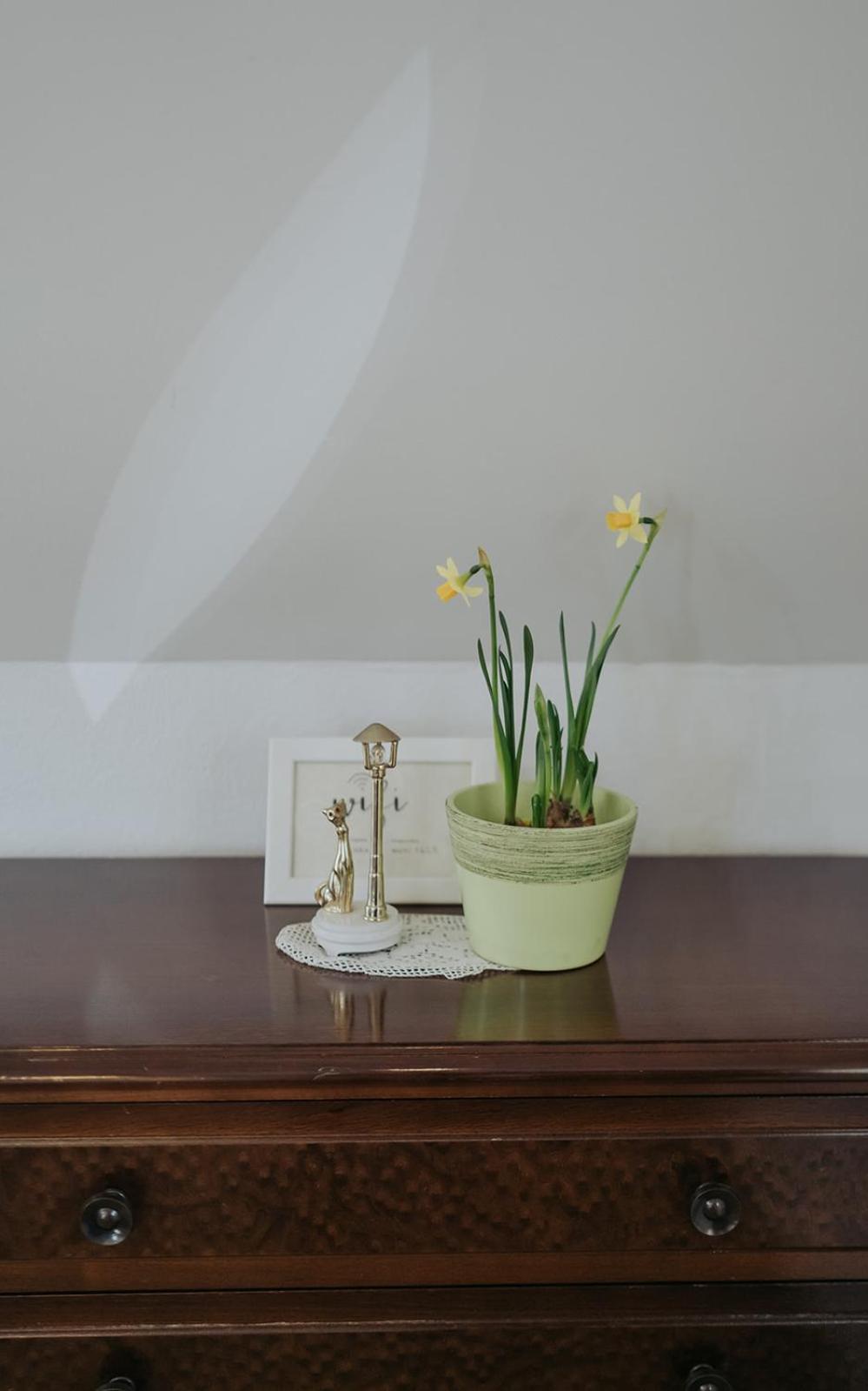 Duplex Apartment - Photo 9