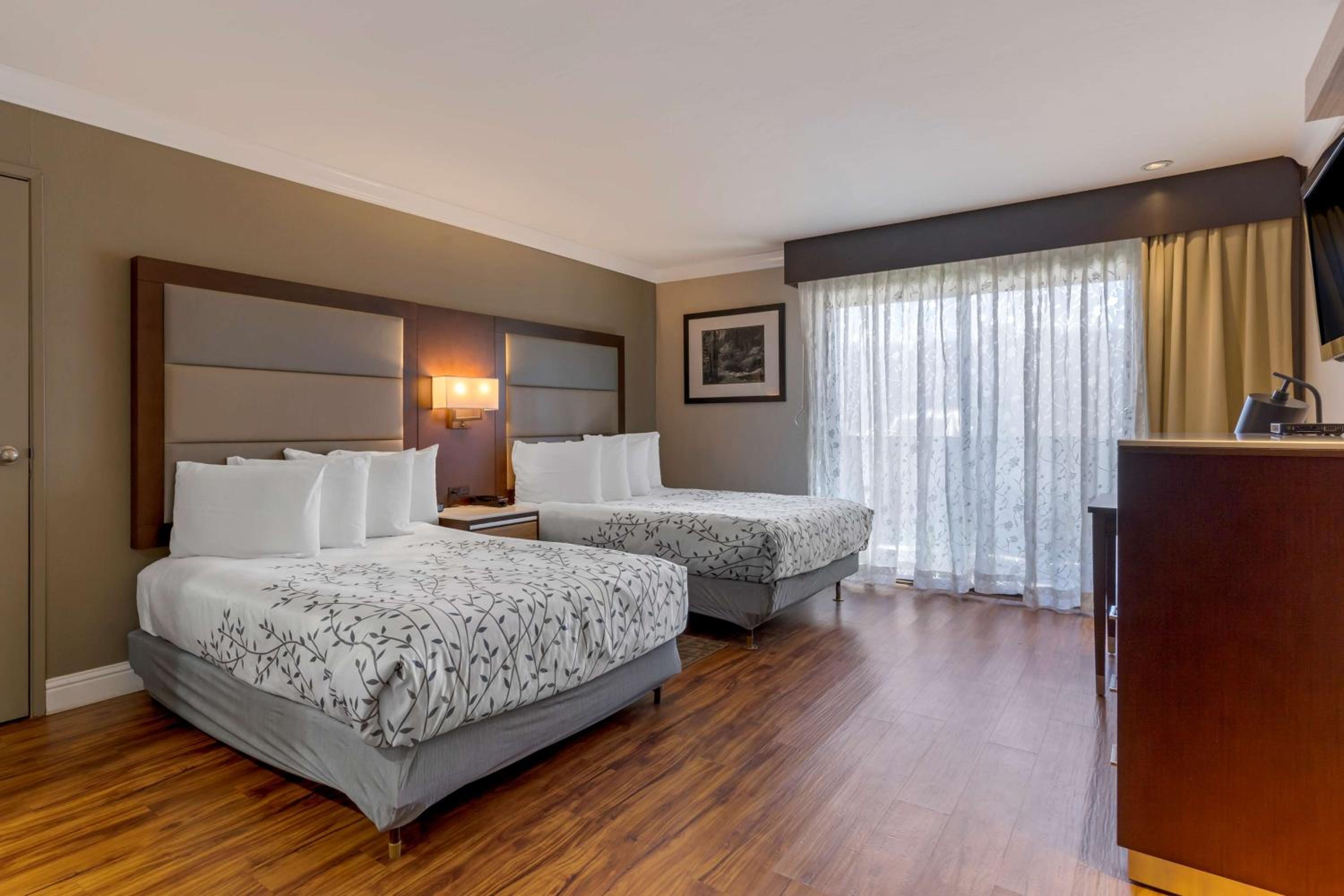 Queen Room with Two Queen Beds - Photo 3