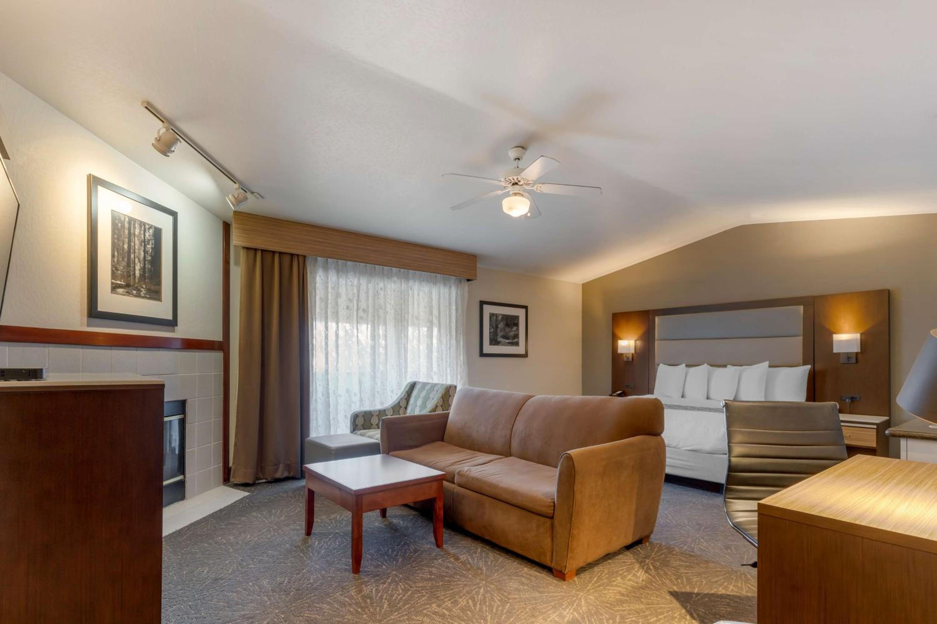 Executive King Room with Sofa Bed and Shower Only - Photo 1