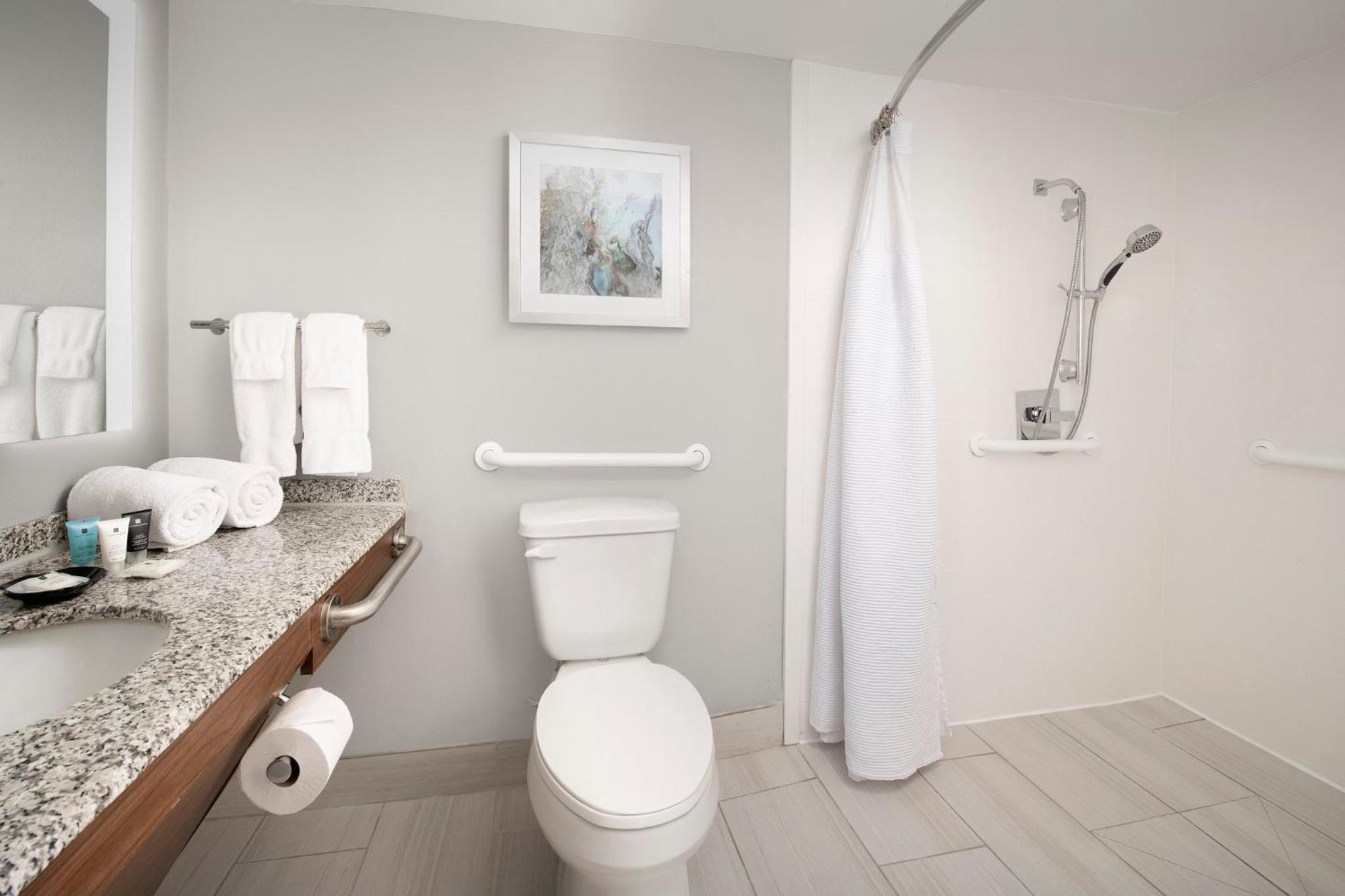 Standard King Room with Mobility Accessible Roll-In Shower - Photo 2