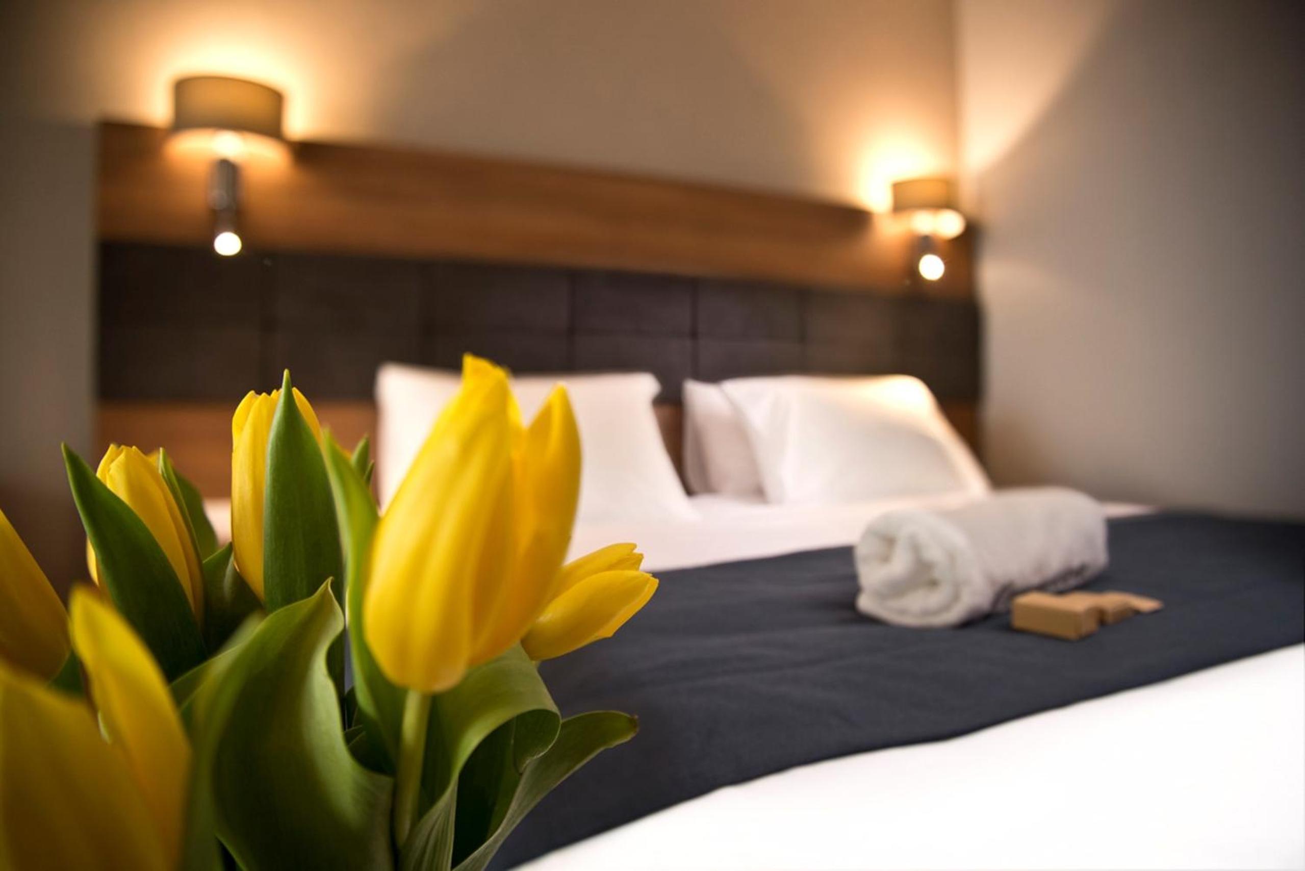 Standard Double Room - Photo 2