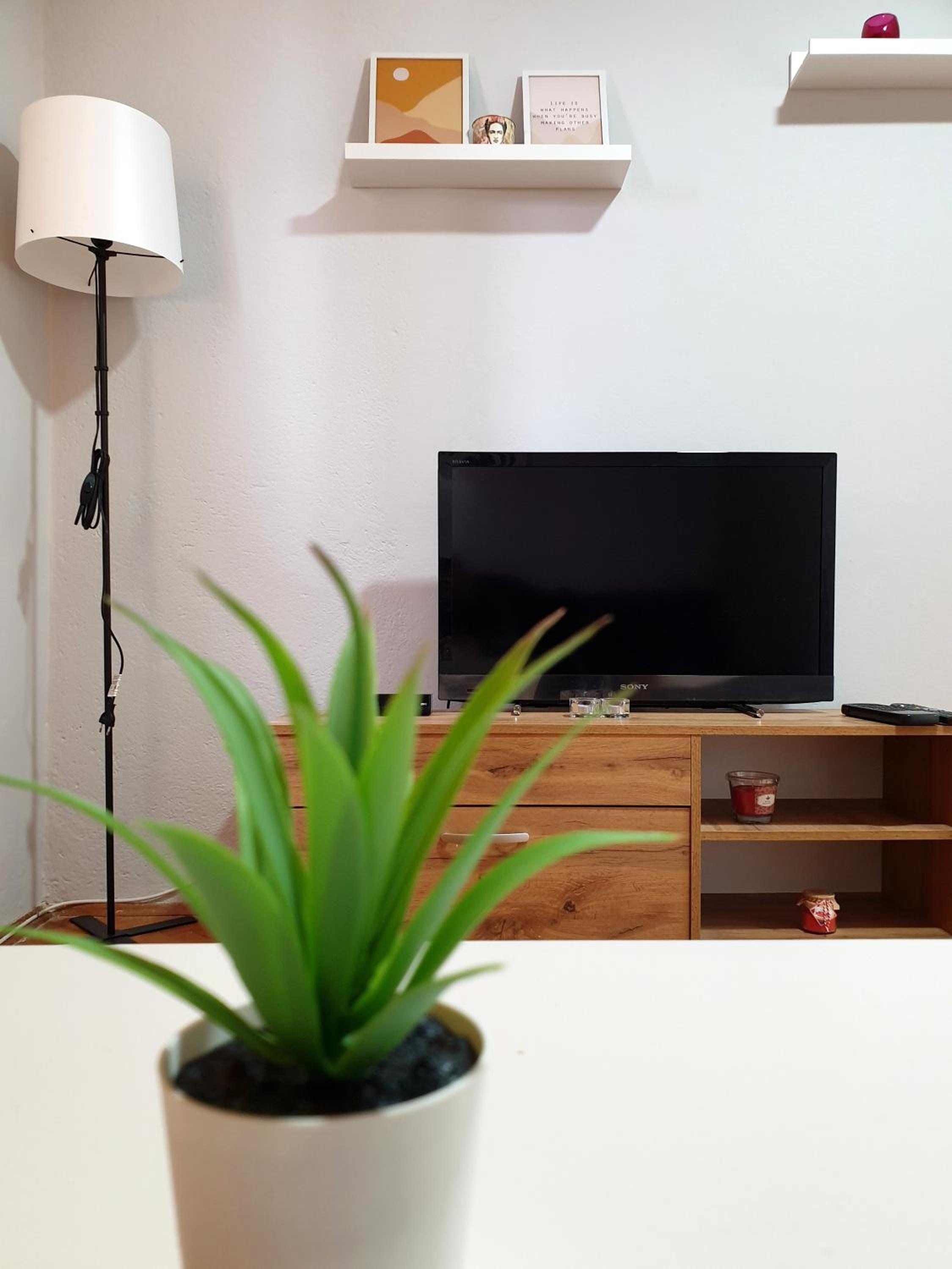 One-Bedroom Apartment photo 1