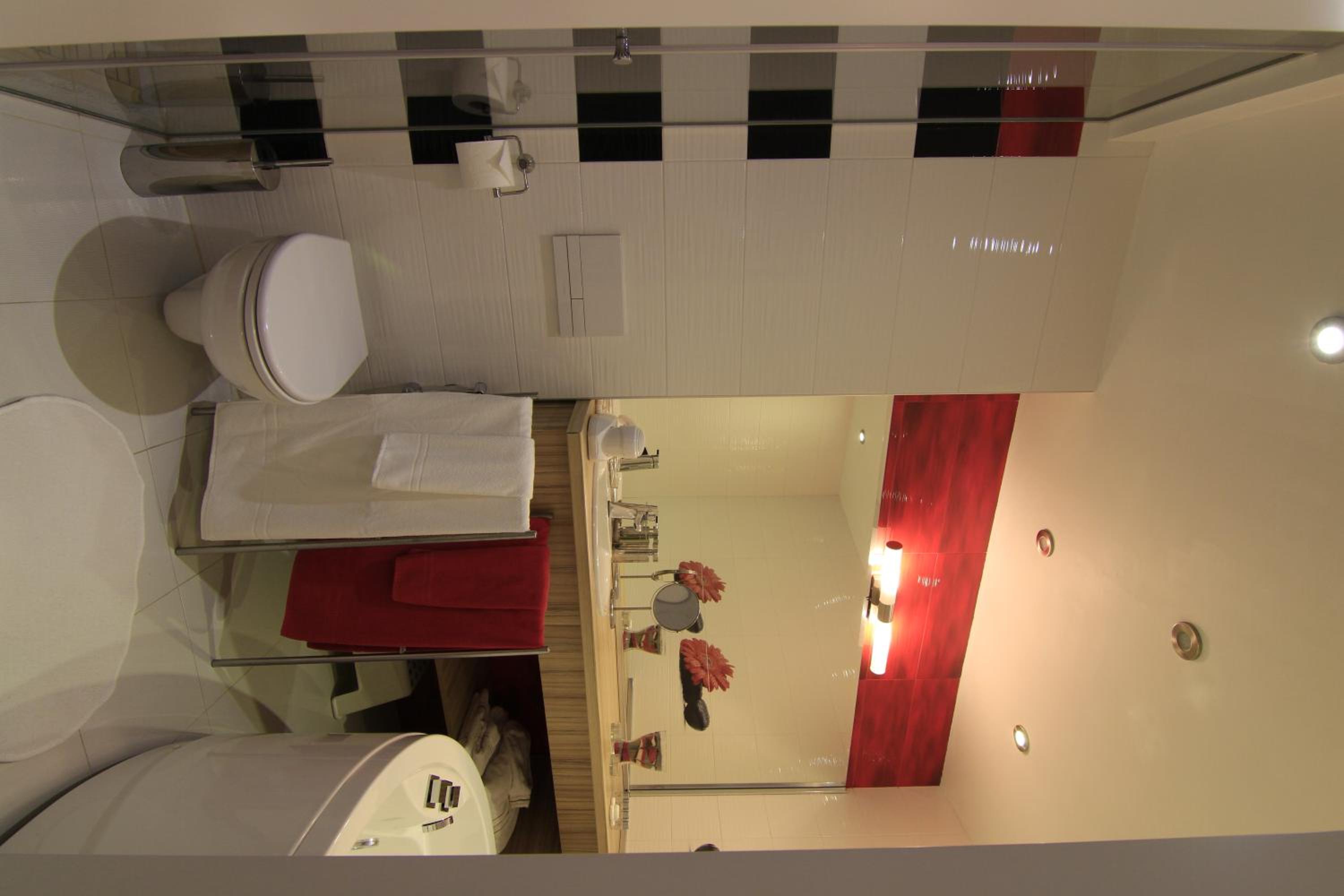 Deluxe One-Bedroom Apartment with Balcony  - Photo 7