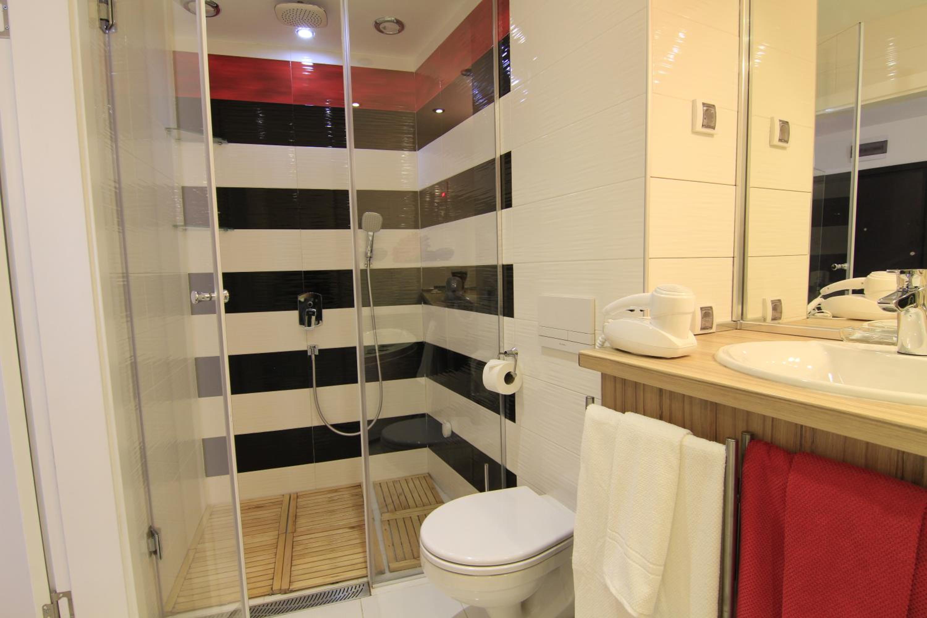 Deluxe One-Bedroom Apartment with Balcony  - Photo 5
