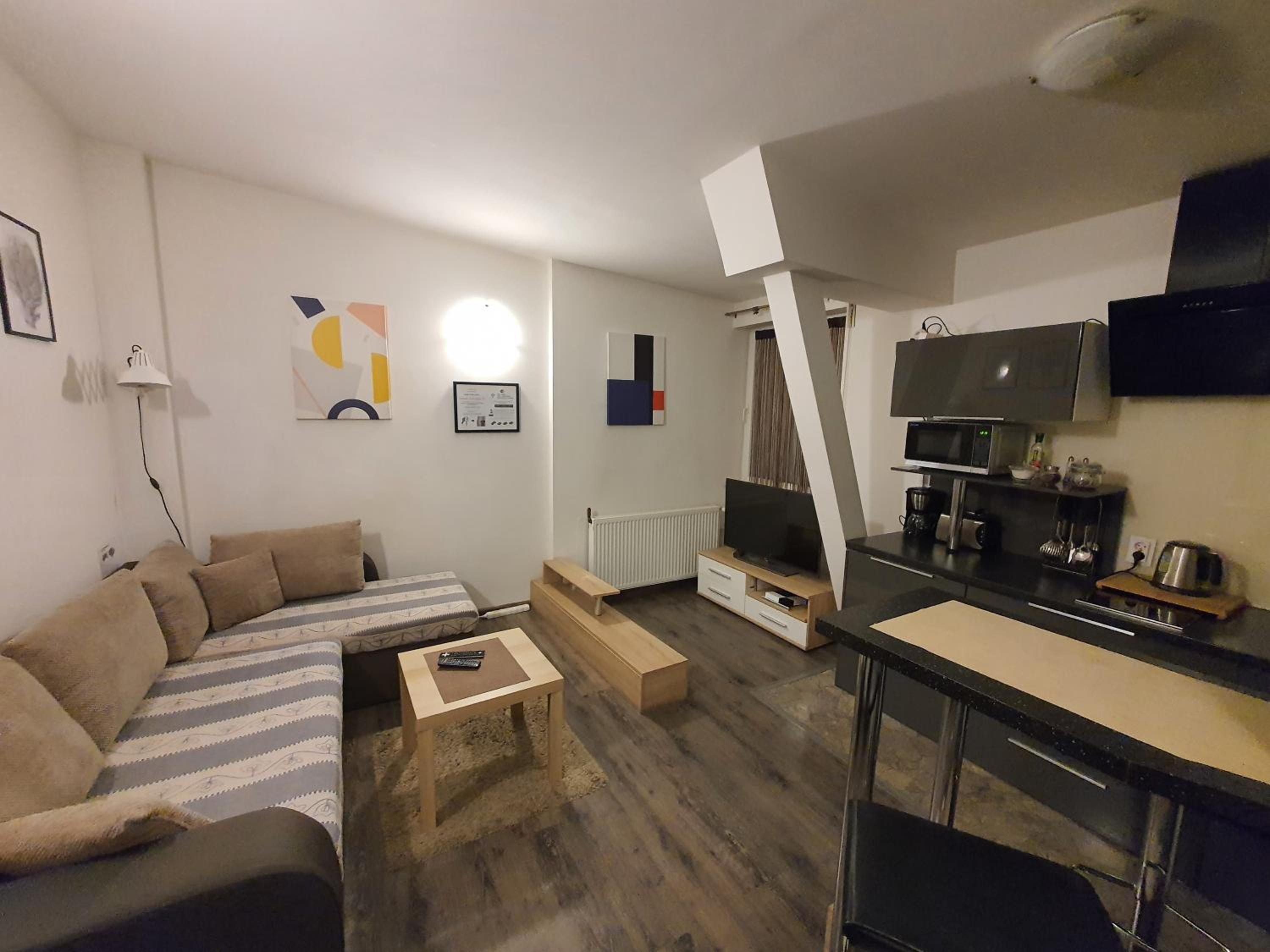 Studio Apartment photo 3