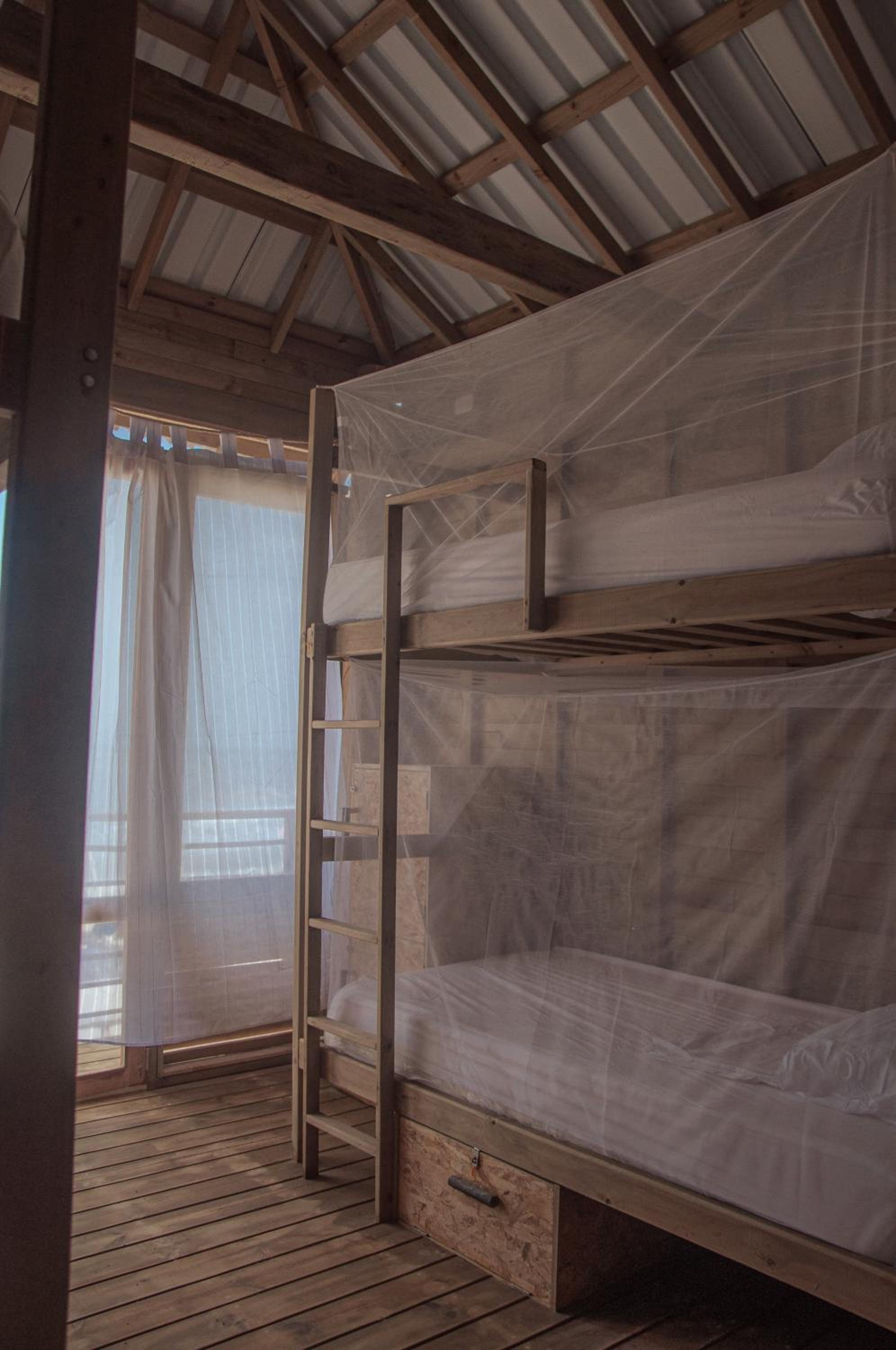 Single Bed in 6-Bed Dormitory Room photo 3