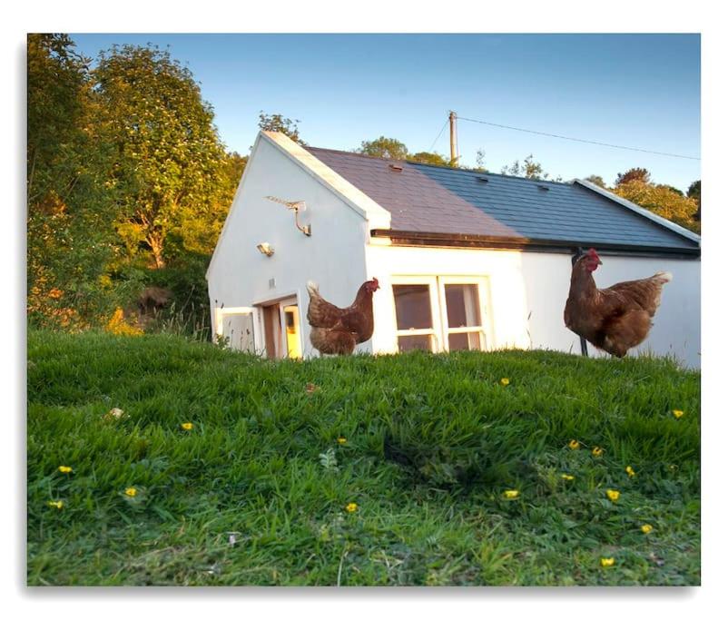 One-Bedroom House photo 3