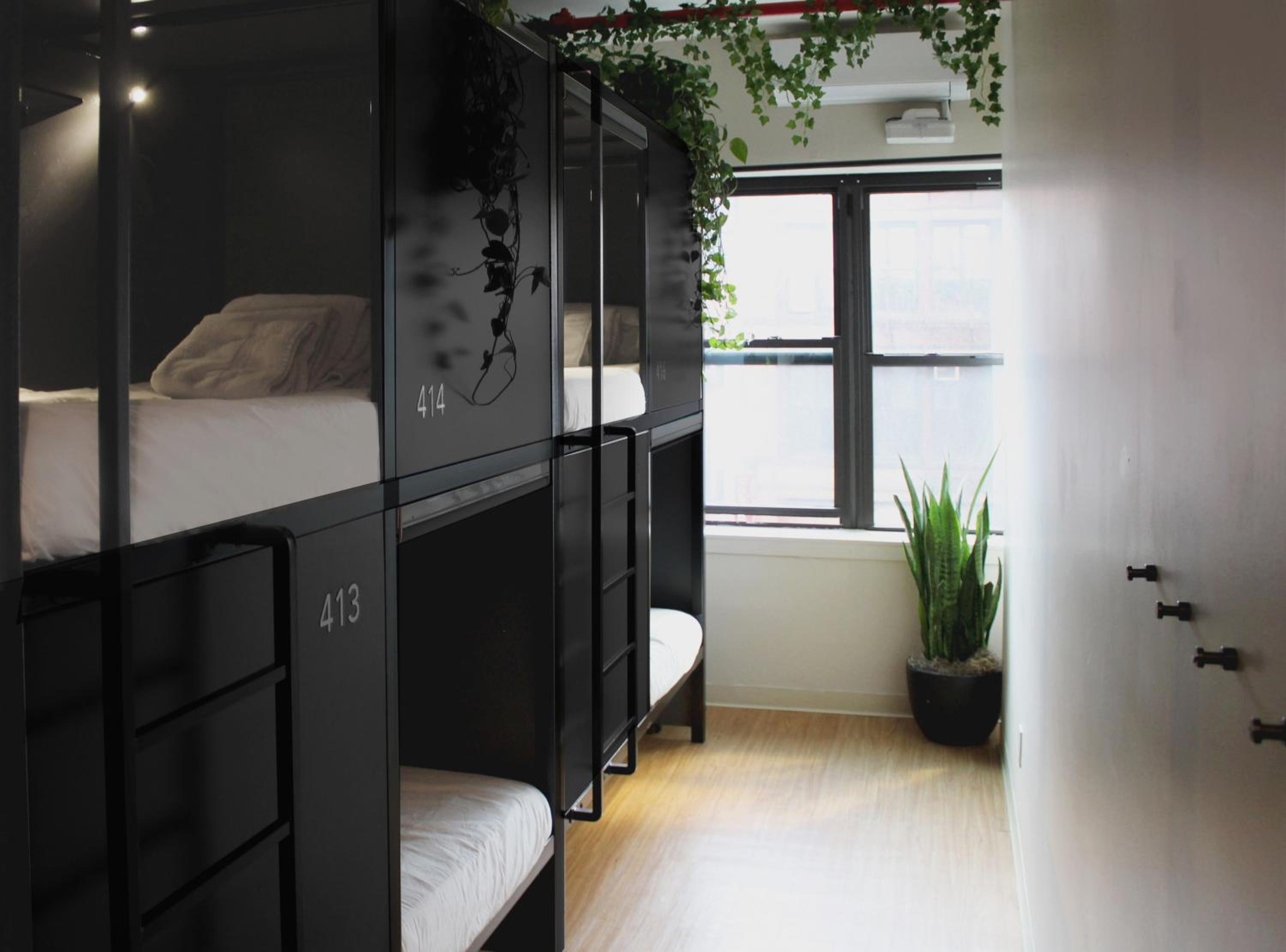 Economy Pod in 6 Bed Mixed Dorm  photo 1