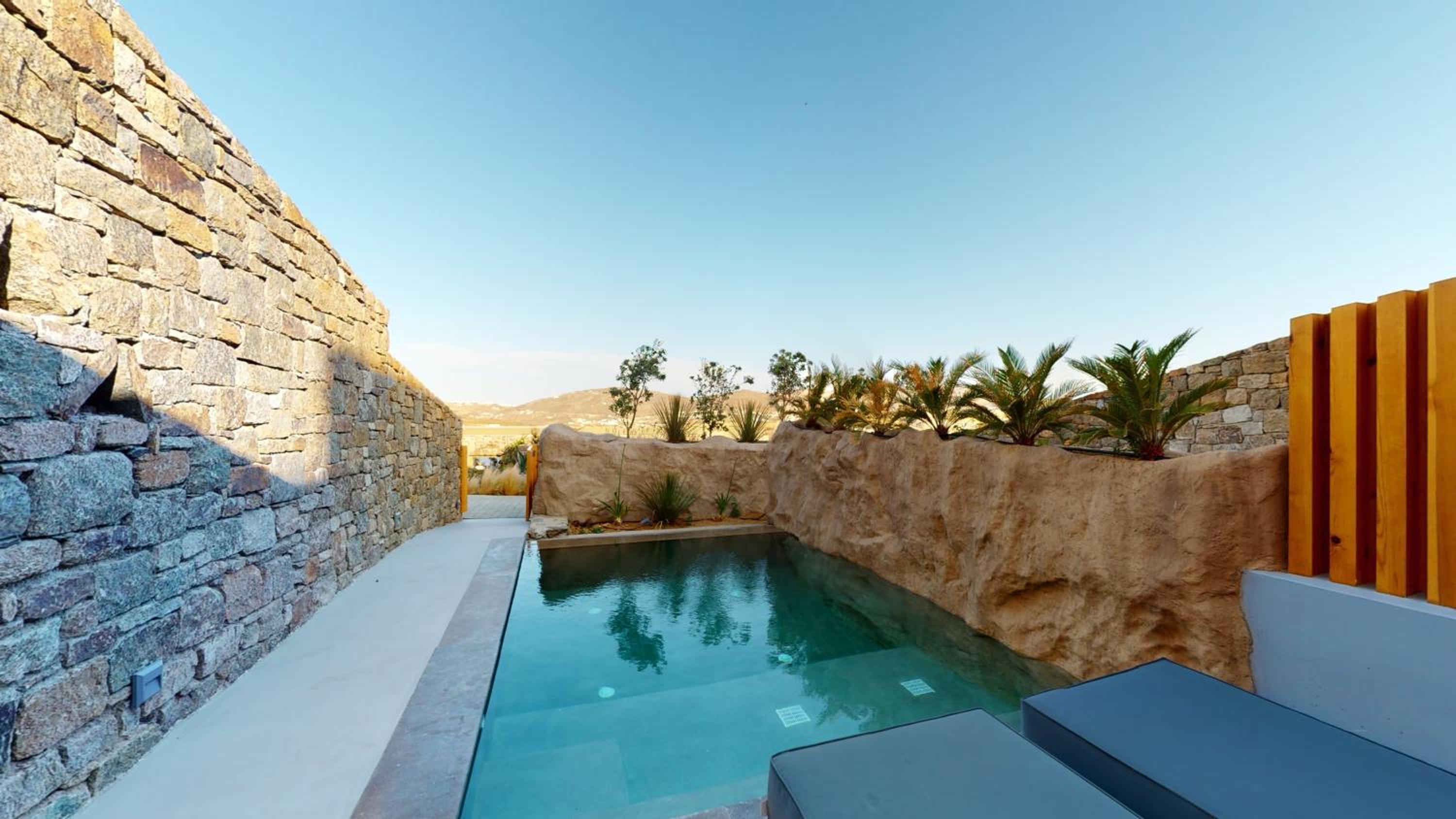 Signature Suite with Private Pool photo 2