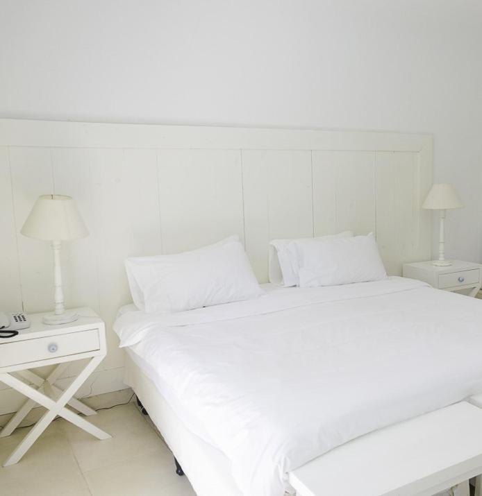 Superior Suite photo 1