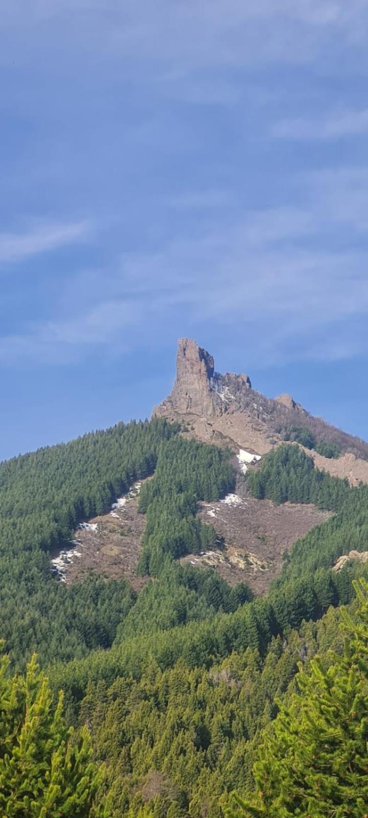 Double Room with Mountain View photo 2