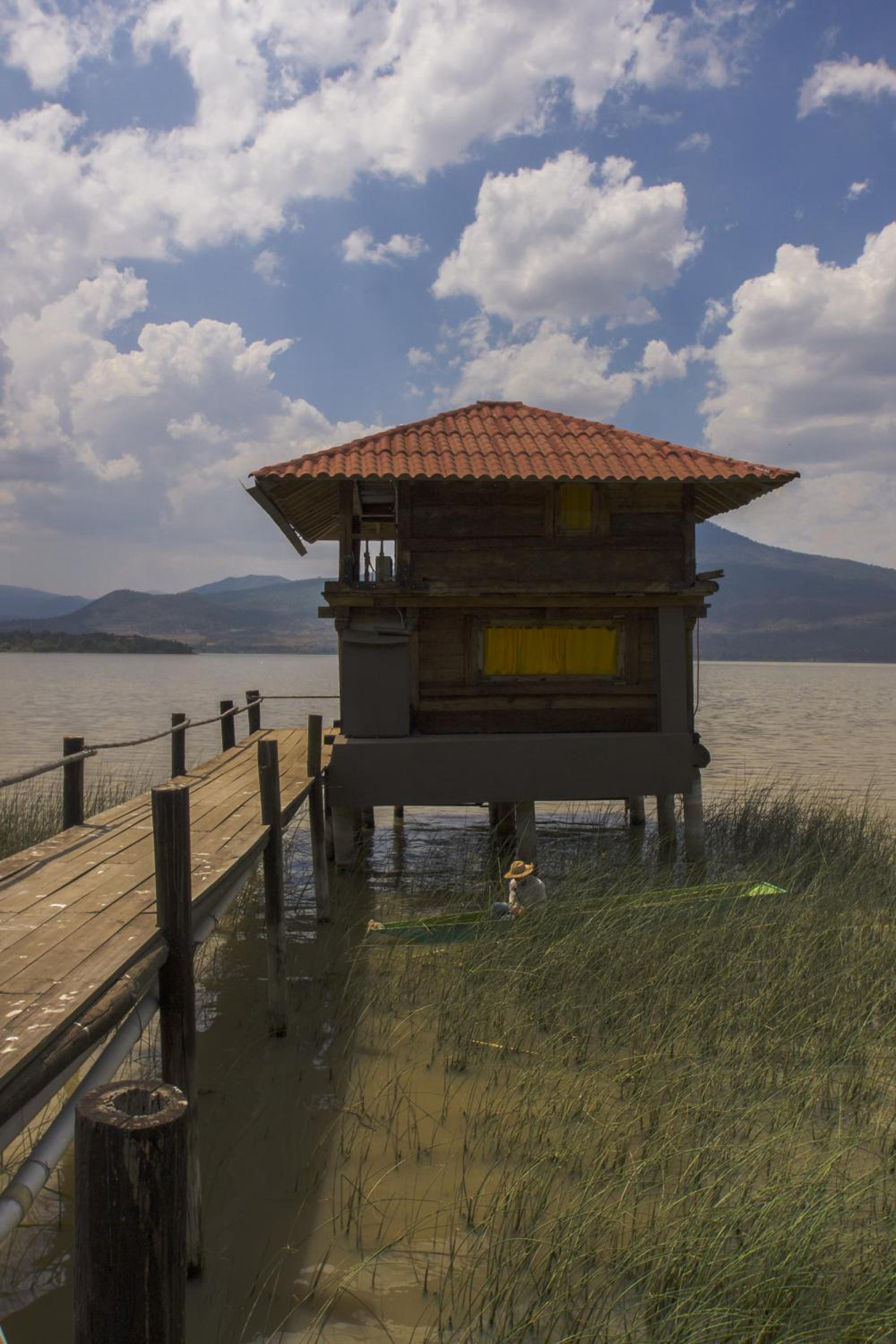 Troje de lago photo 2