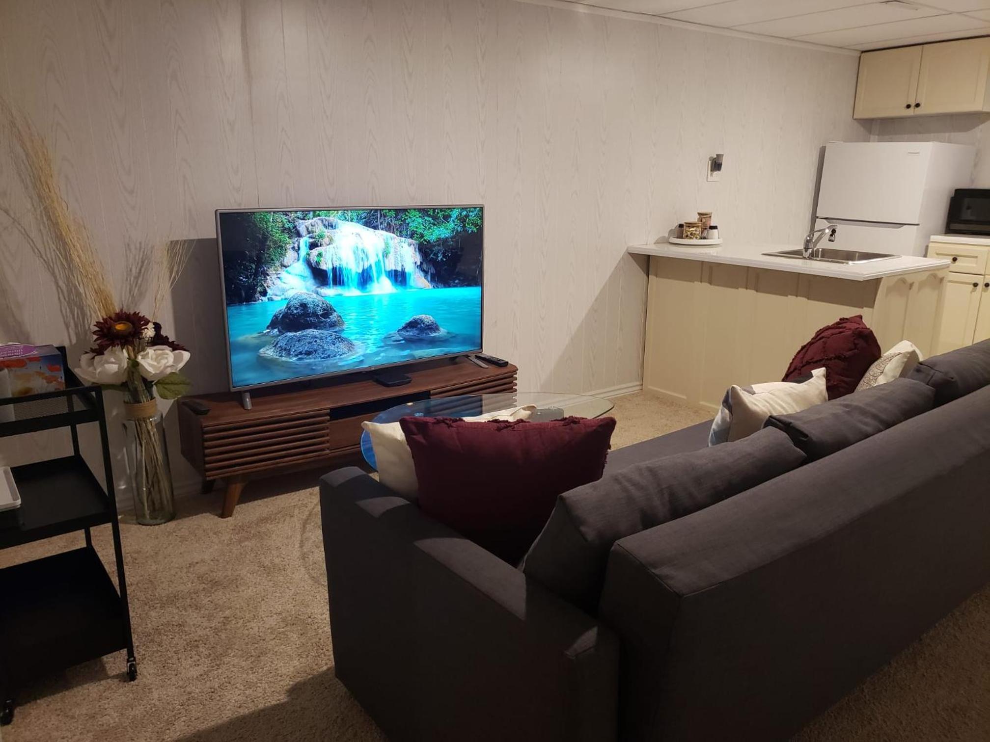 One-Bedroom Apartment photo 2