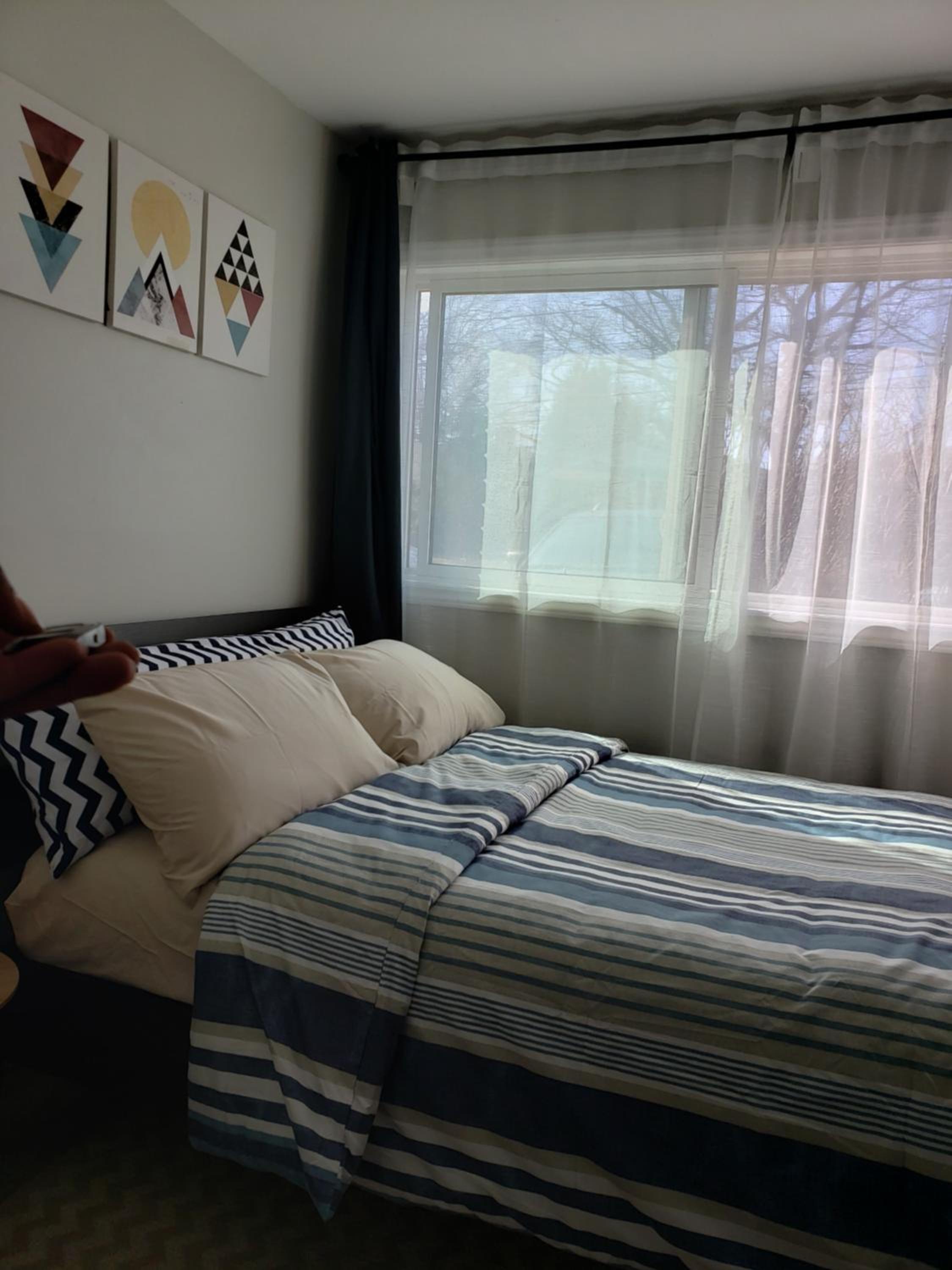 One-Bedroom Apartment photo 3