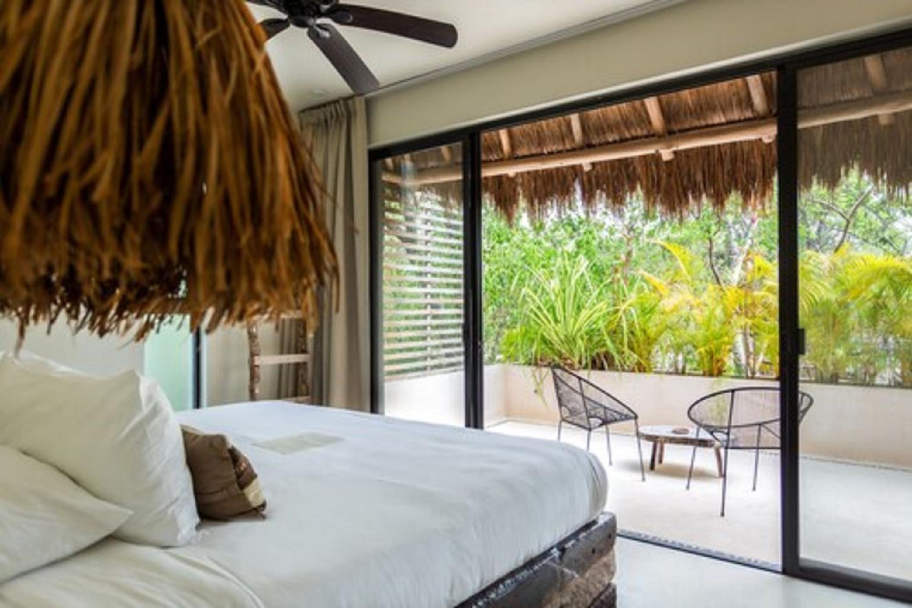 Tropical Room with Terrace photo 1