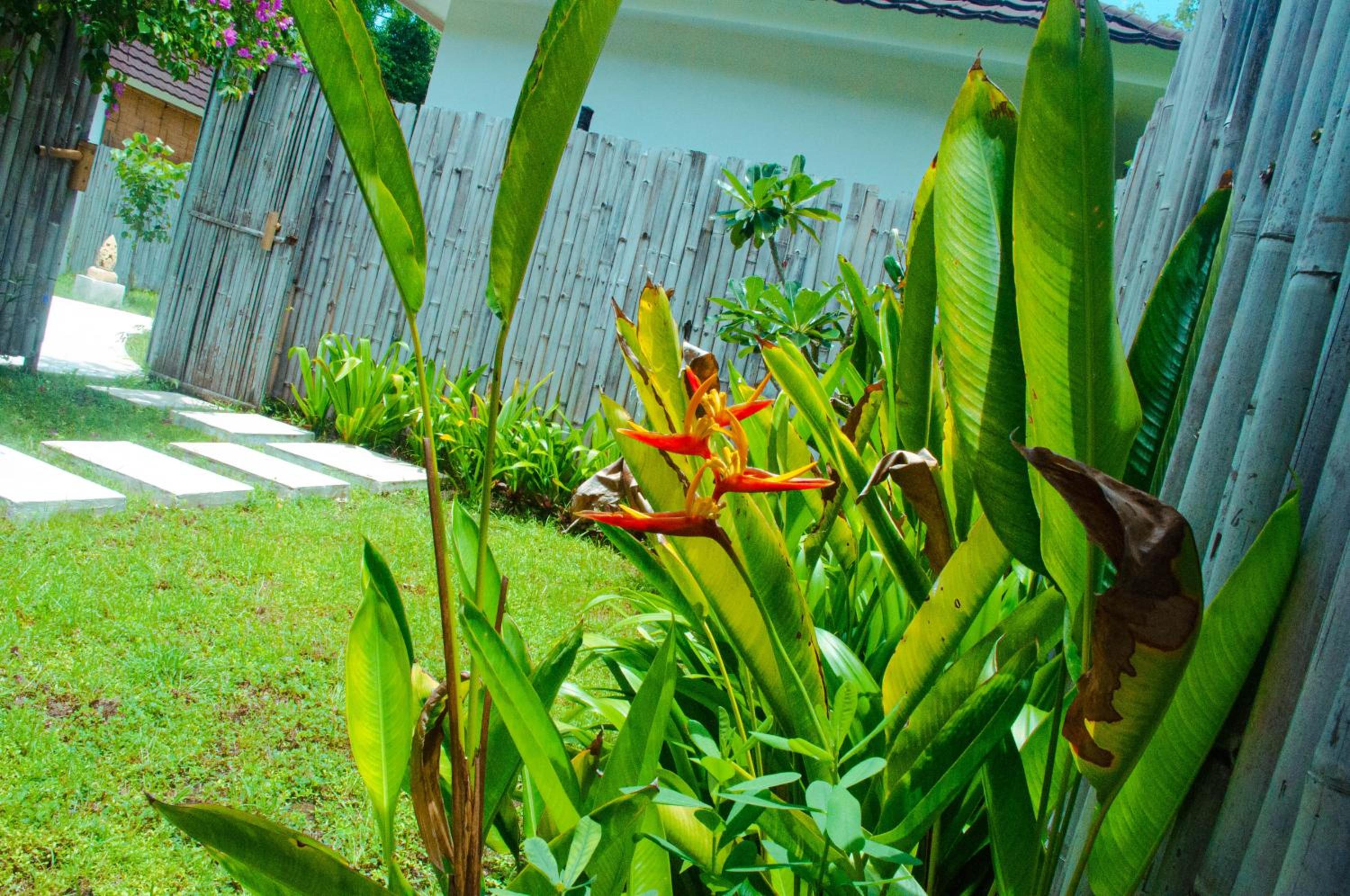 Standard Villa - Photo 16