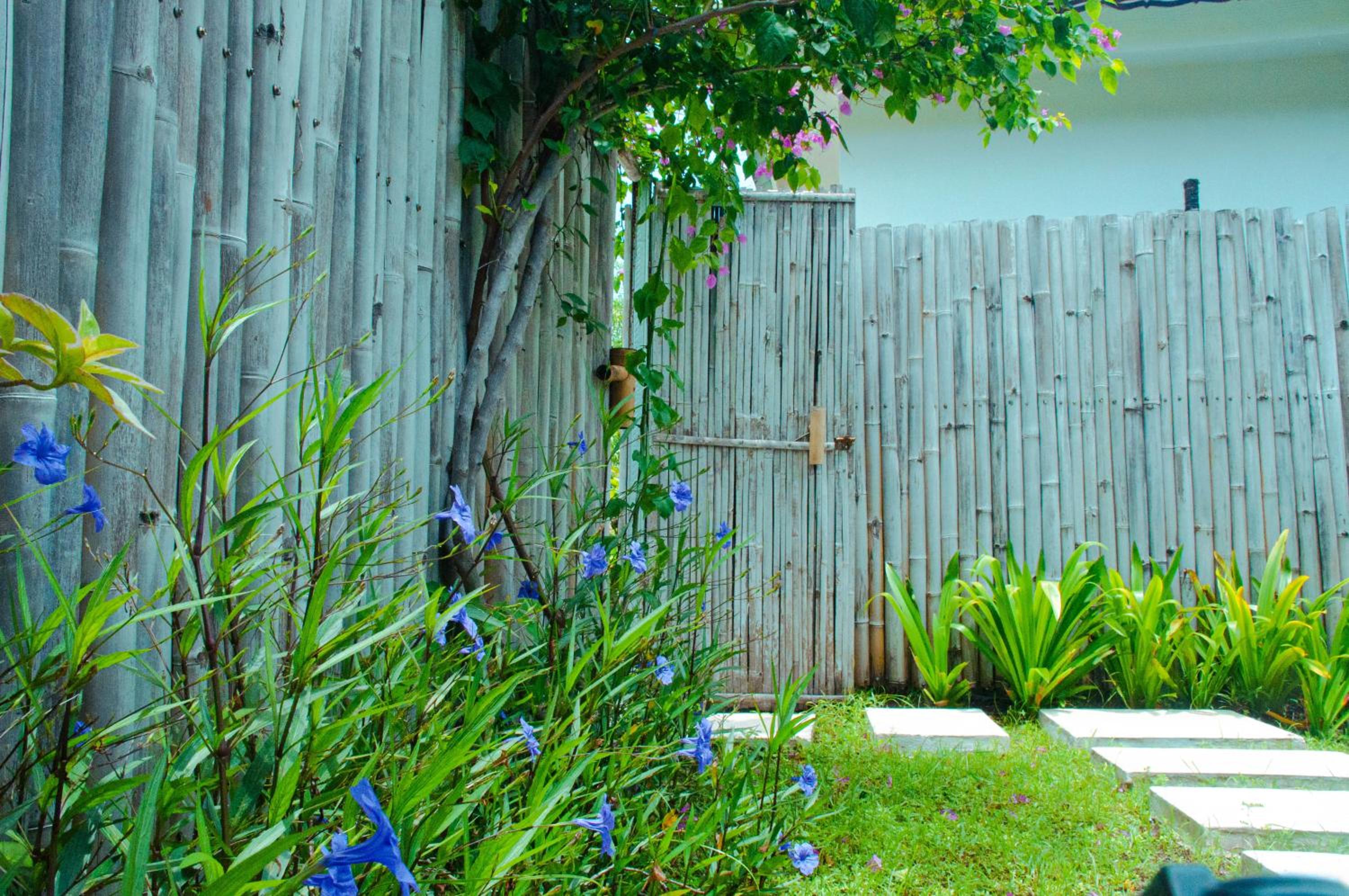 Standard Villa - Photo 15