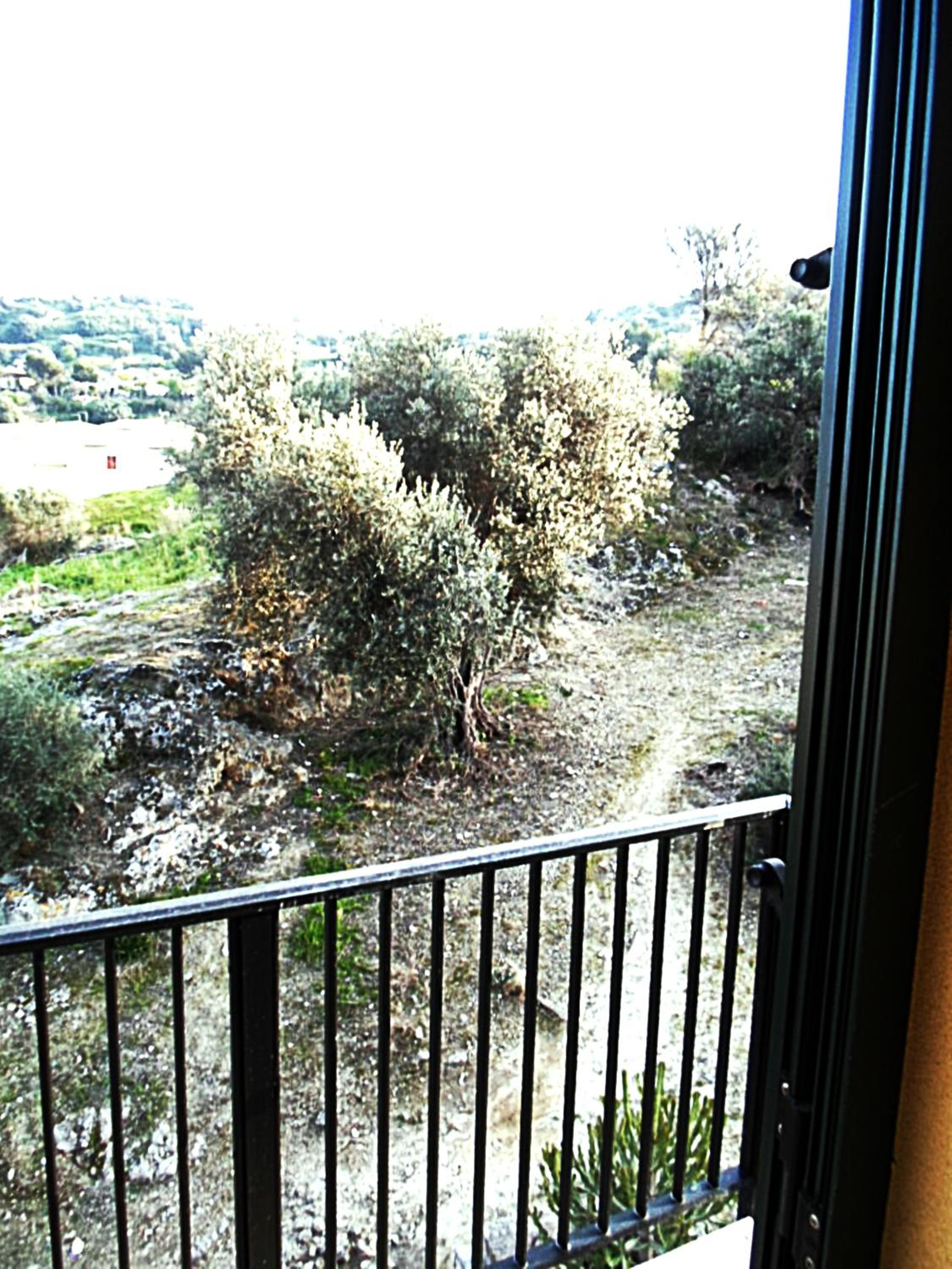 One-Bedroom Apartment with Garden View photo 3