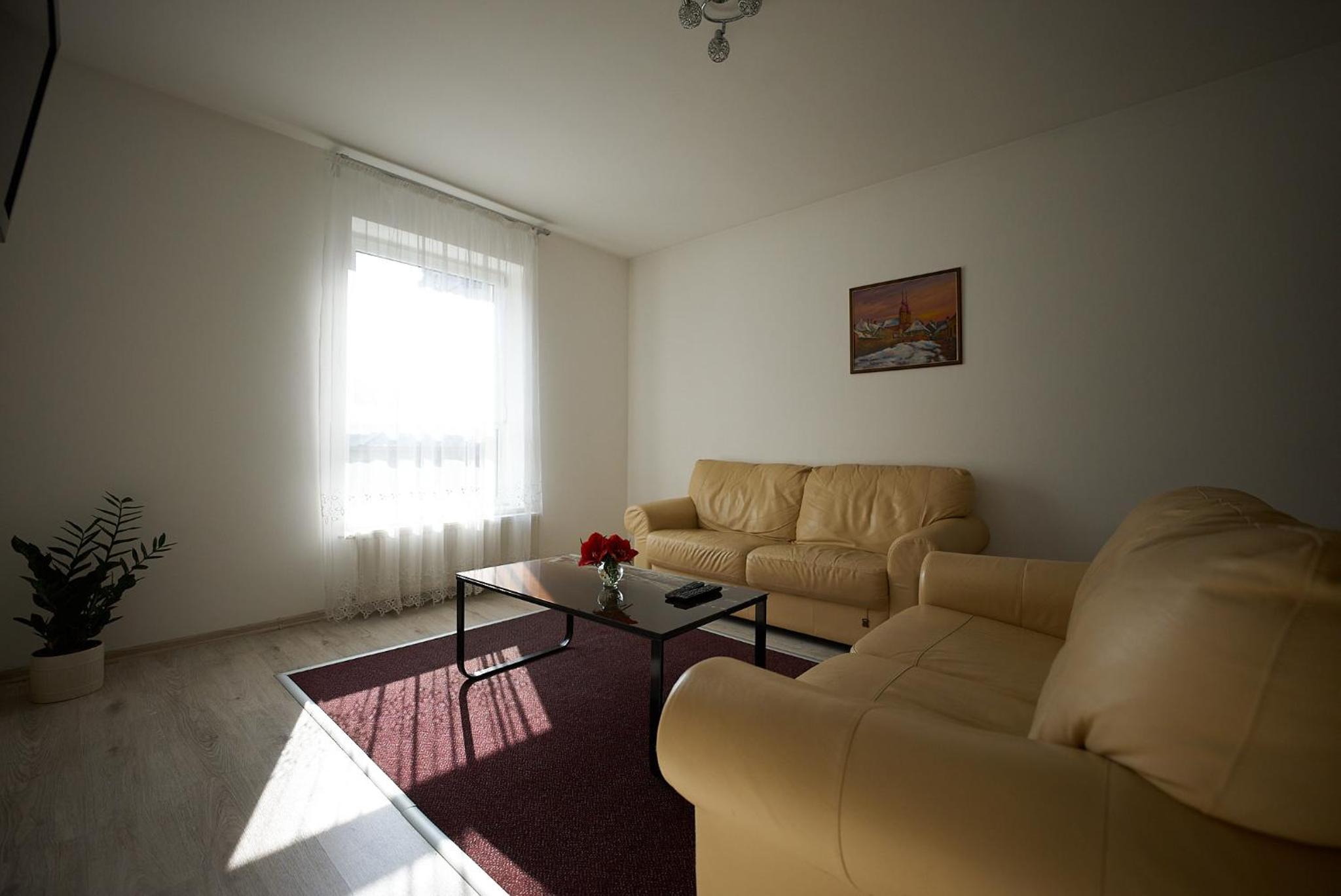 Family Room - Photo 6