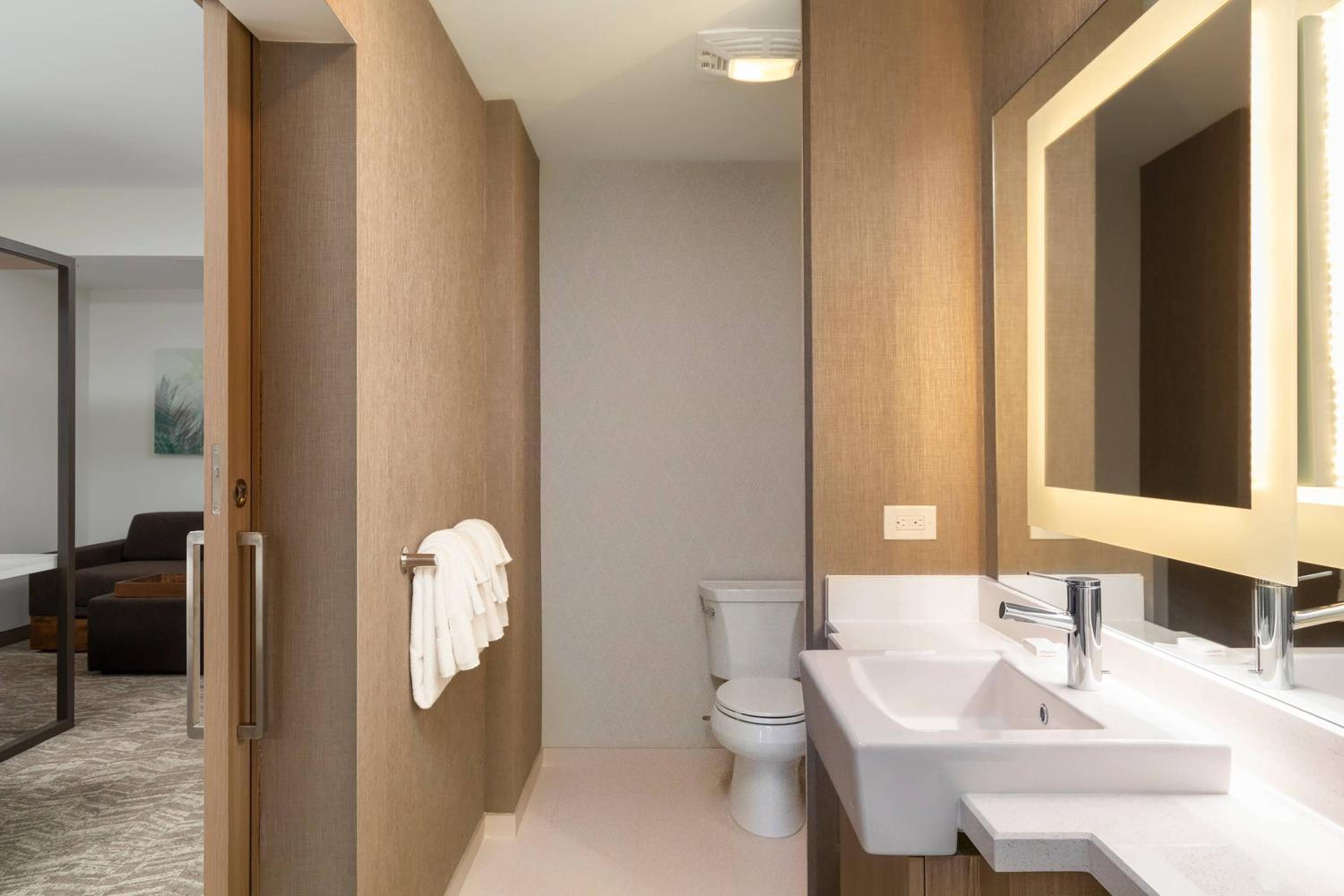 King Suite with Sofa Bed and Roll-in Shower - Mobility Accessible - Photo 9