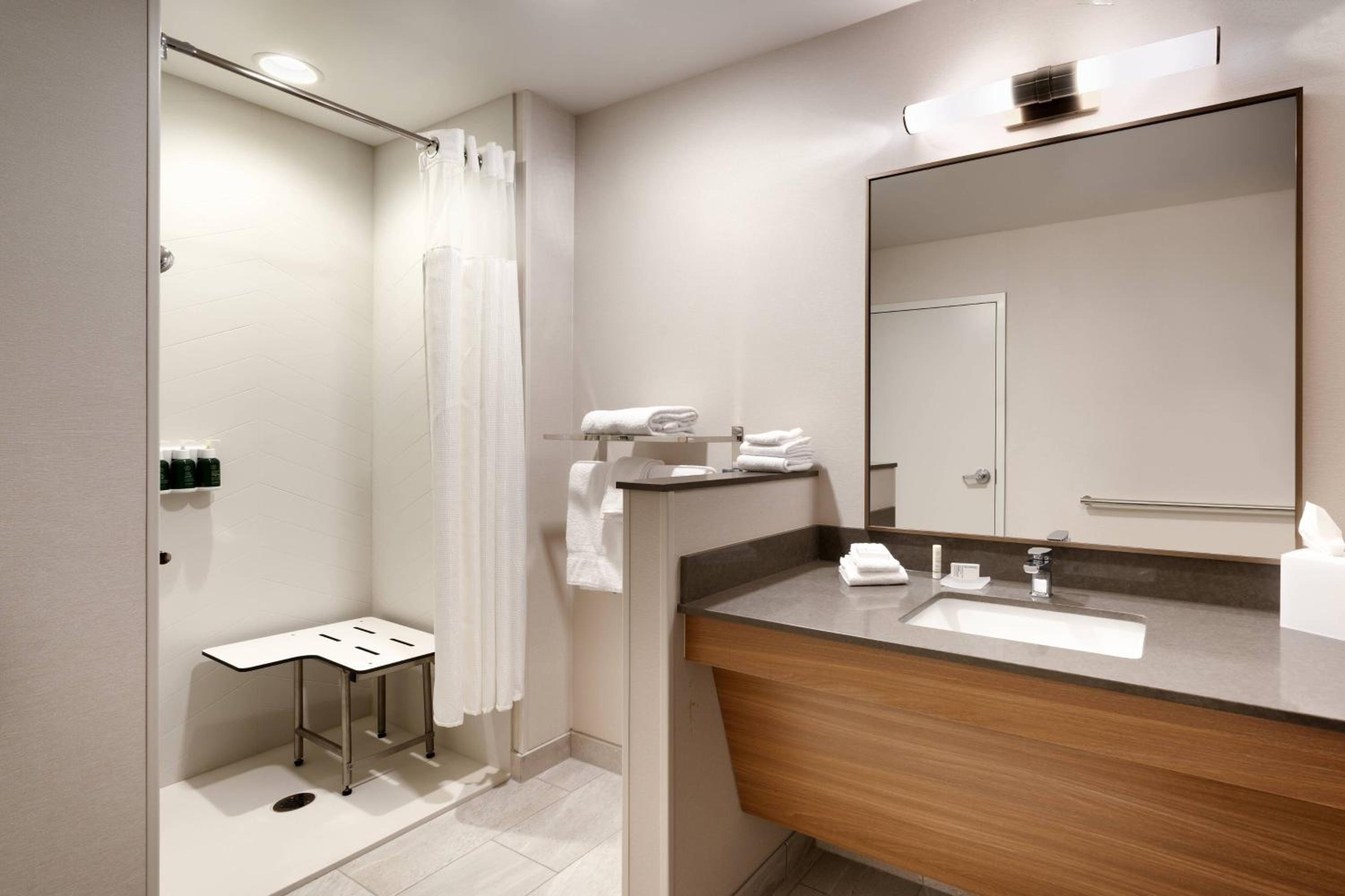 Suite, 1 King, Non-Private Sofa bed (Mobility & Hearing Accessible w/ Roll-in Shower)