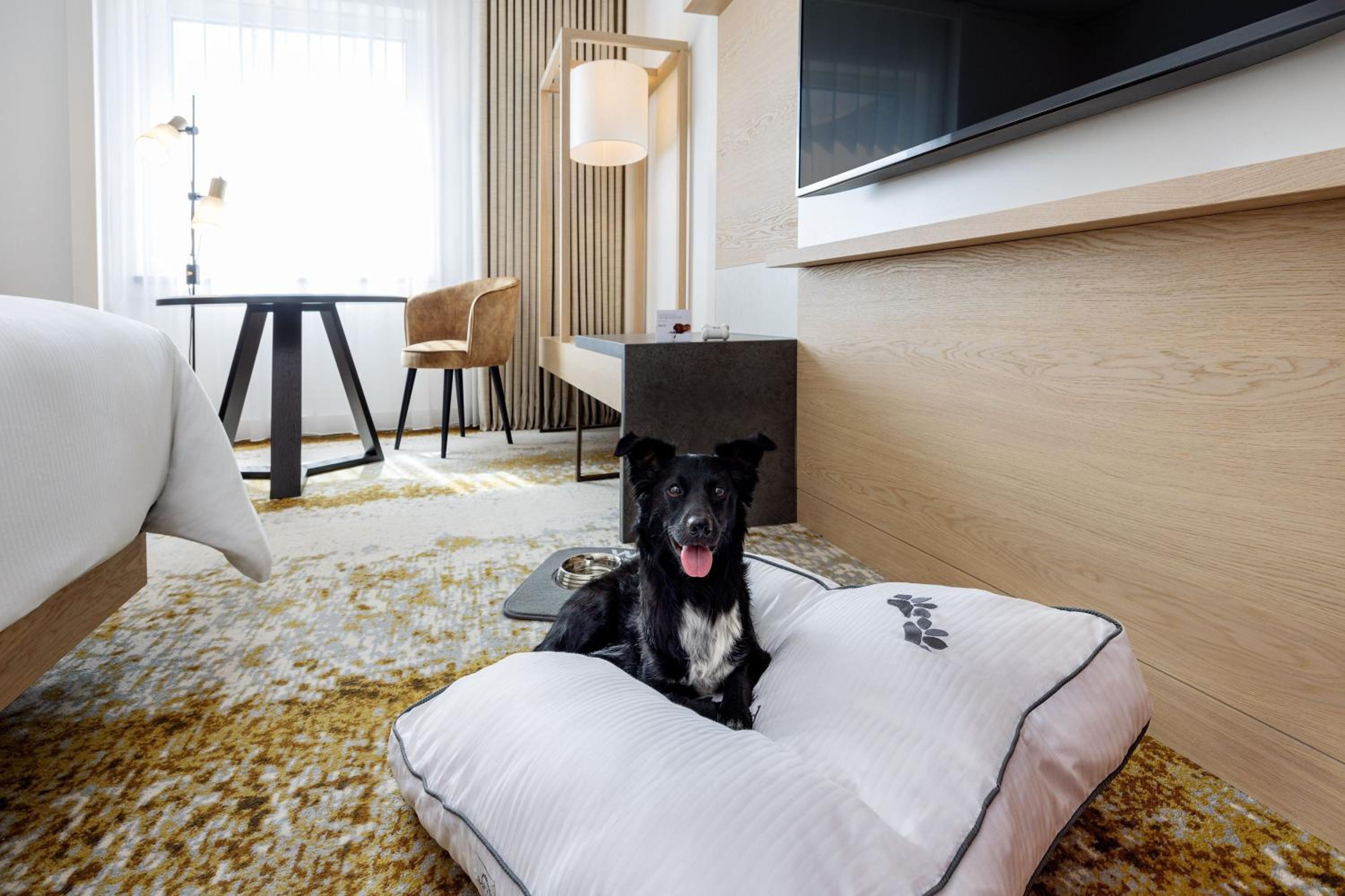 Deluxe Queen Room - Photo 4