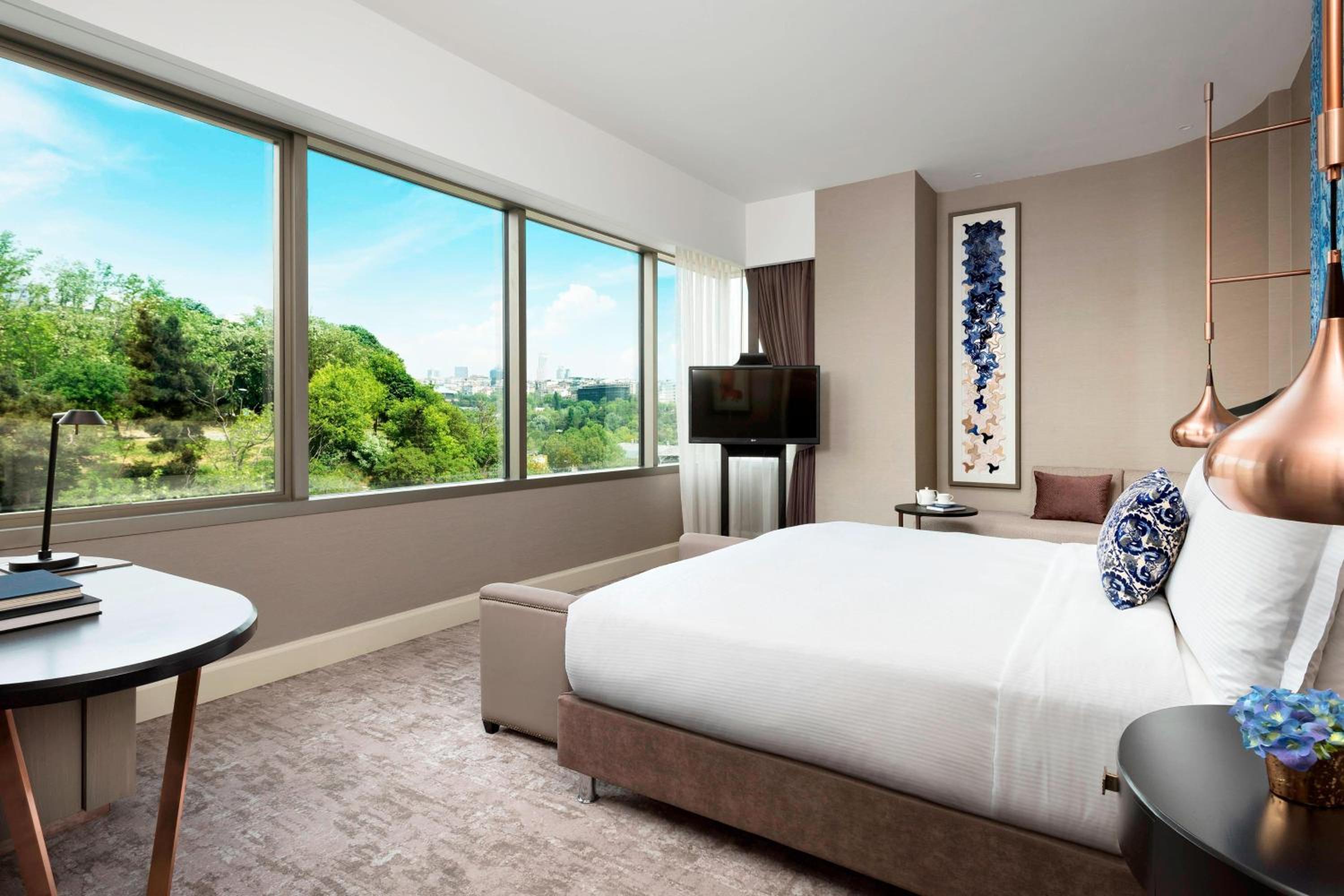Club King Room with Park View and Lounge Access photo 1