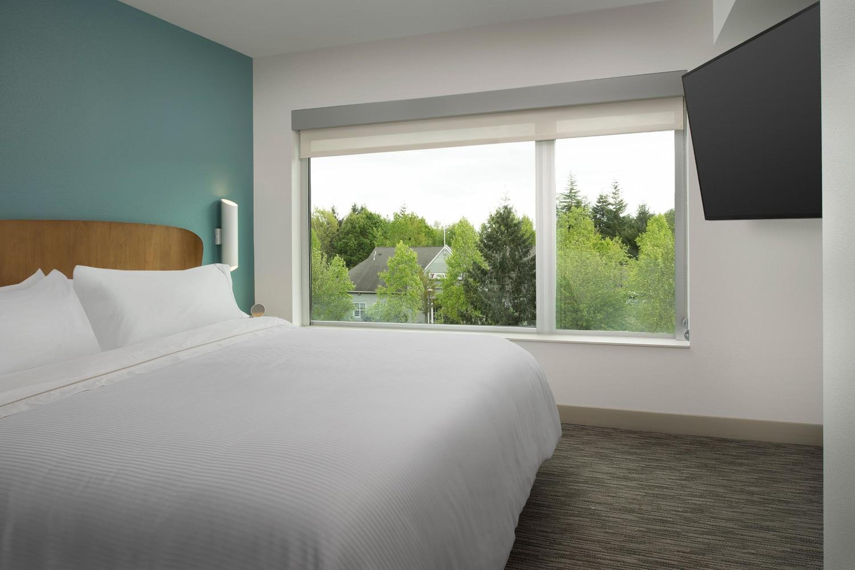 One-Bedroom King Suite with Sofa Bed - Photo 4