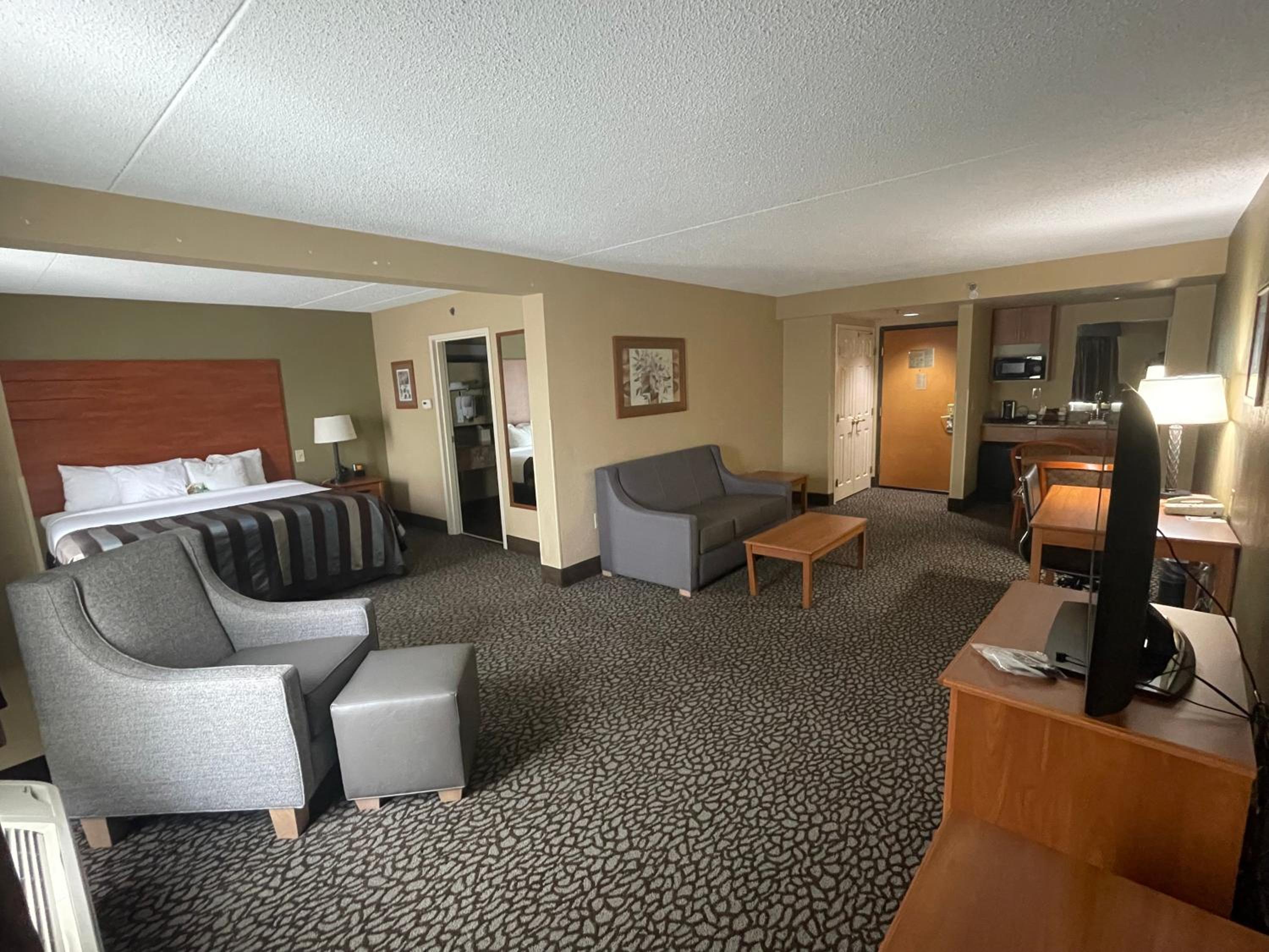 King Studio Suite - Non-Smoking - Photo 1