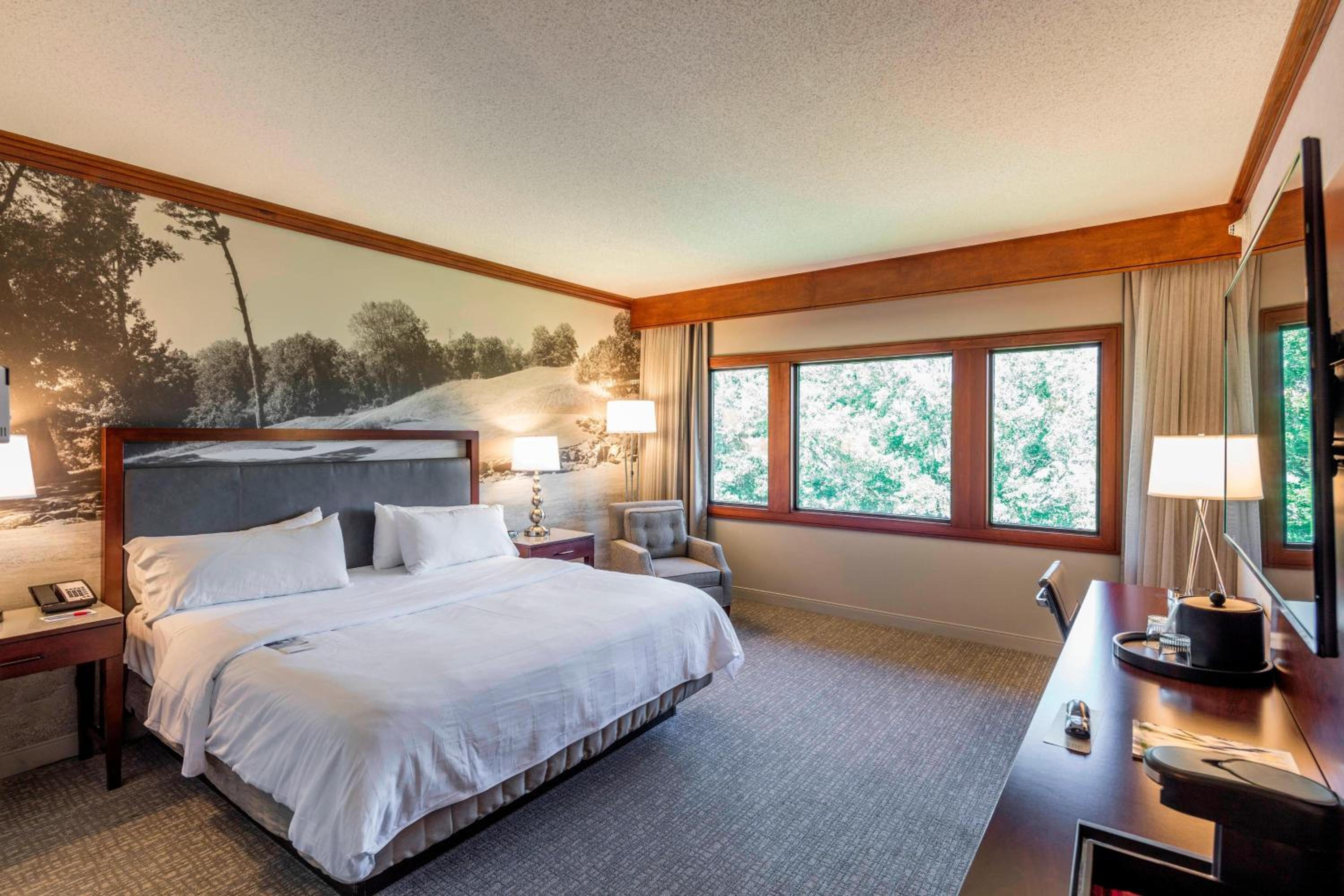 King  Room - Photo 1