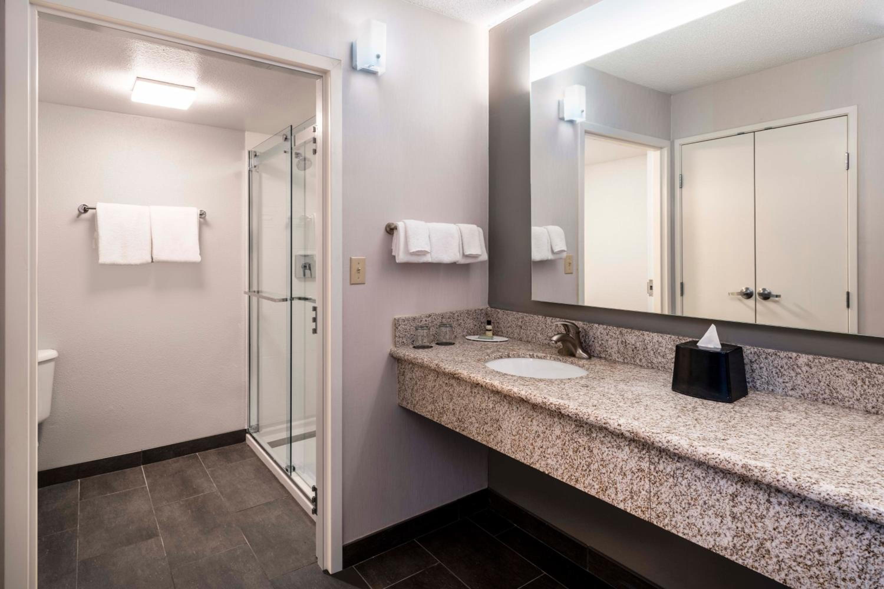 One-Bedroom Executive King Suite with Sofa Bed and Adapted Tub - Mobility and Hearing Accessible photo 3