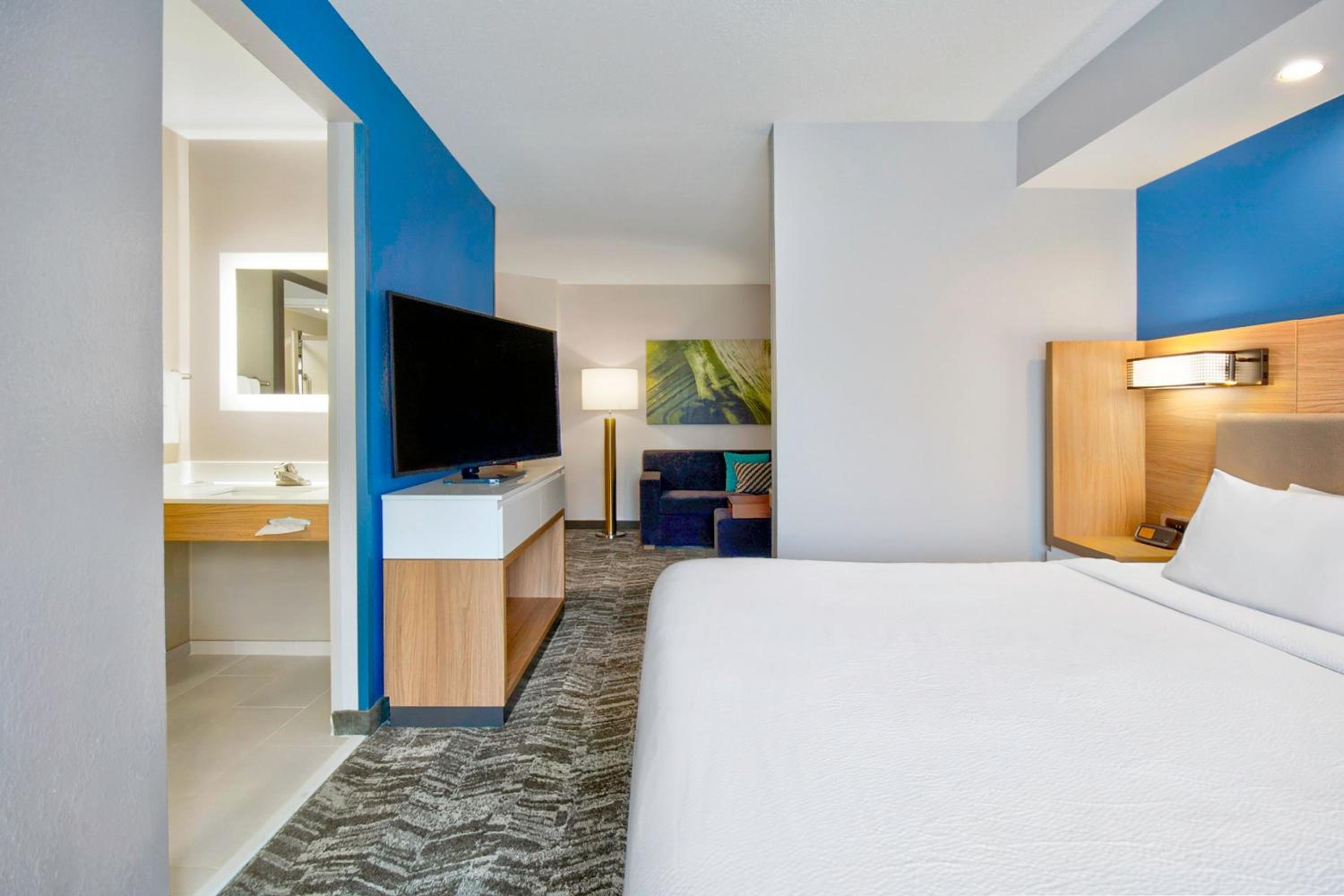 King Suite with Sofa Bed - Photo 2
