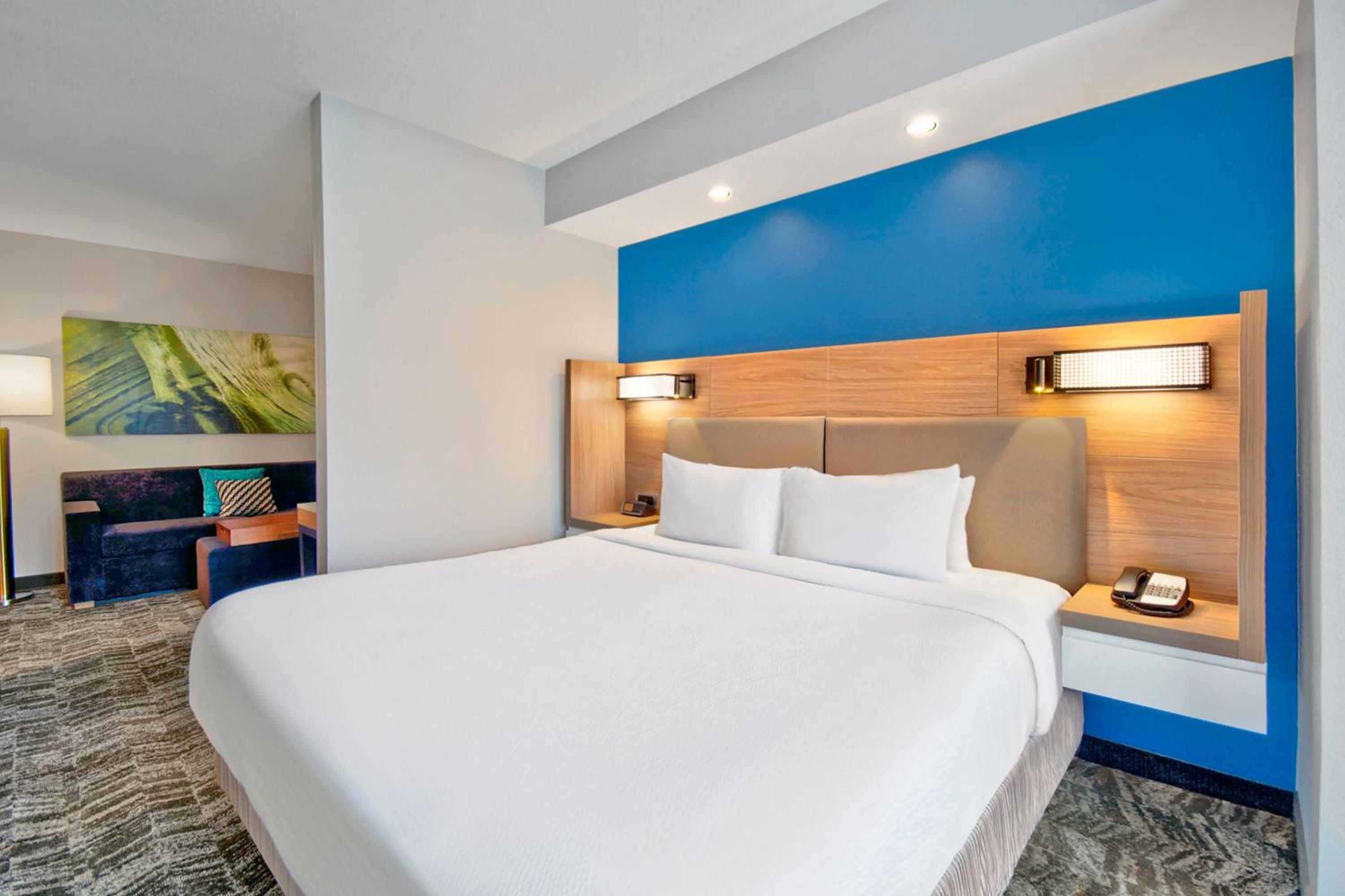 King Suite with Sofa Bed - Photo 8