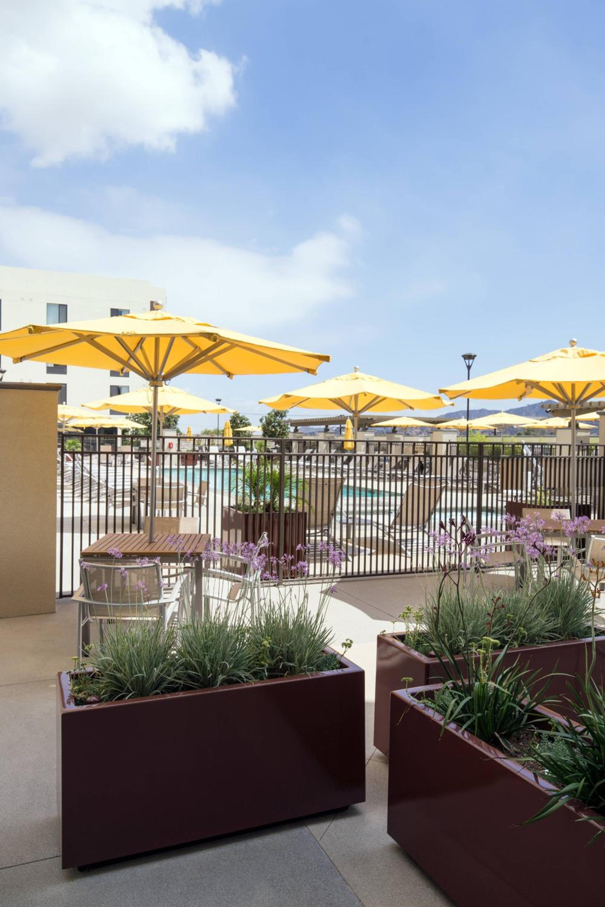 Large Studio with Two Queen Beds with Sofa Bed, Roll-In Shower and Pool View - Mobility Accessible