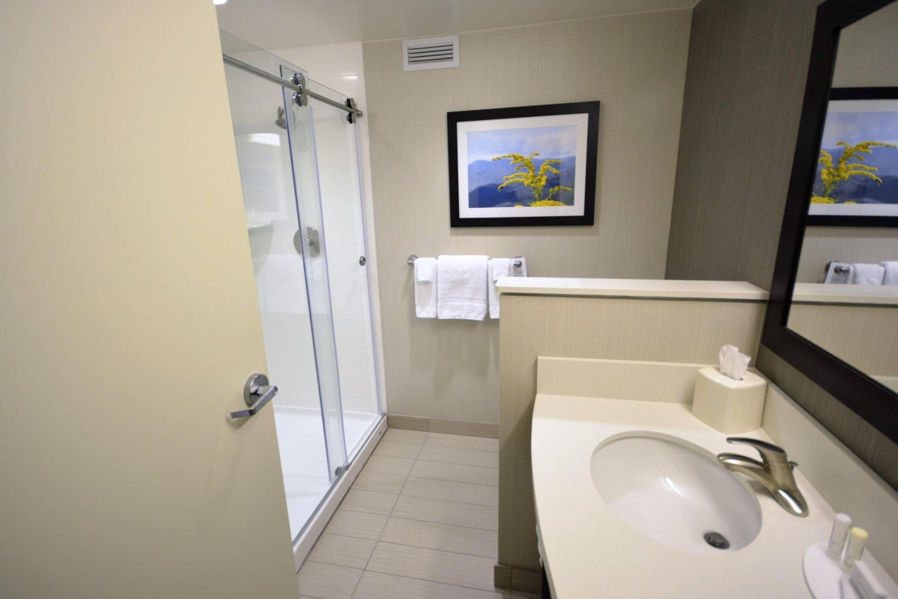 King Suite with Sofa Bed photo 3