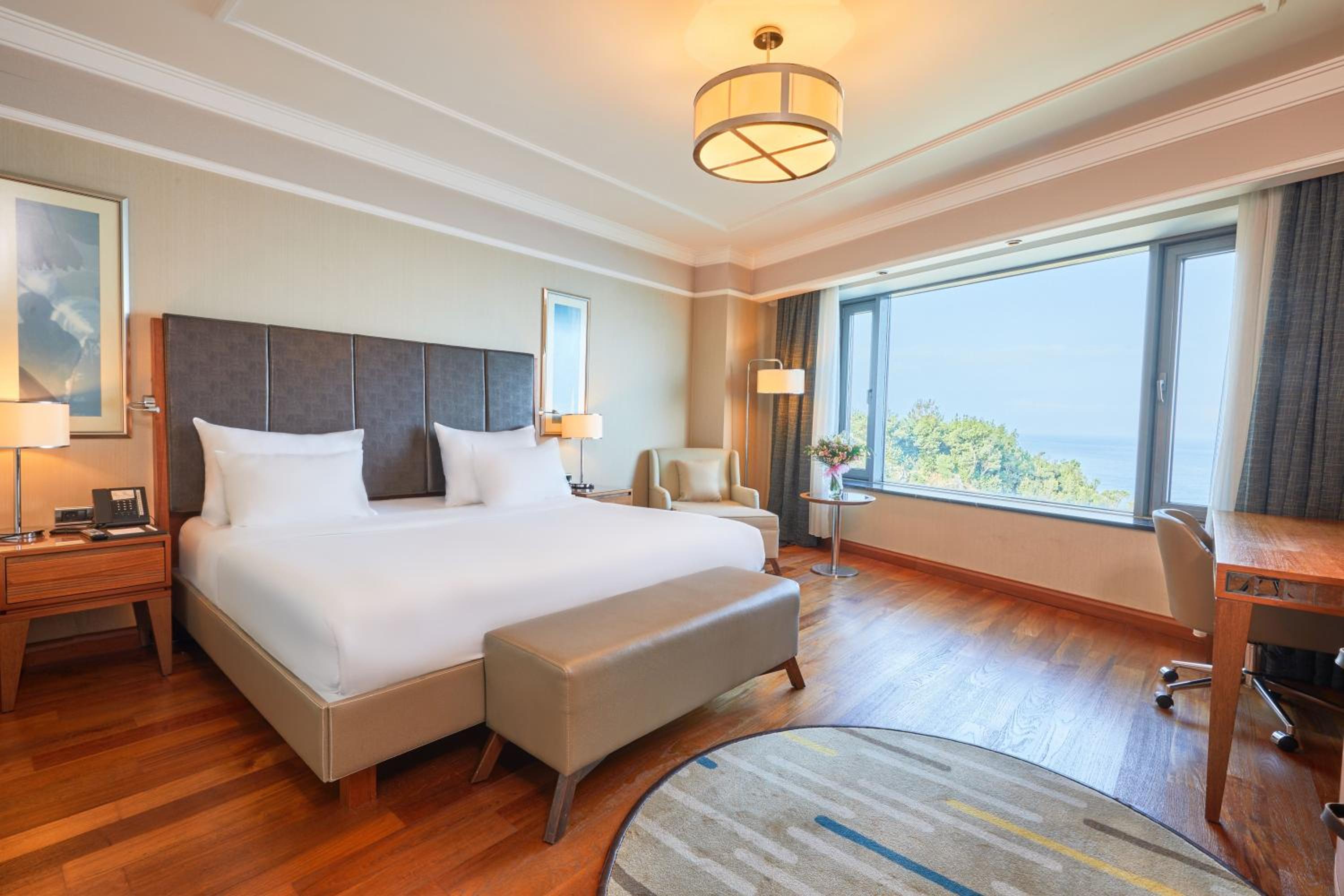 Junior Suite - Photo 1