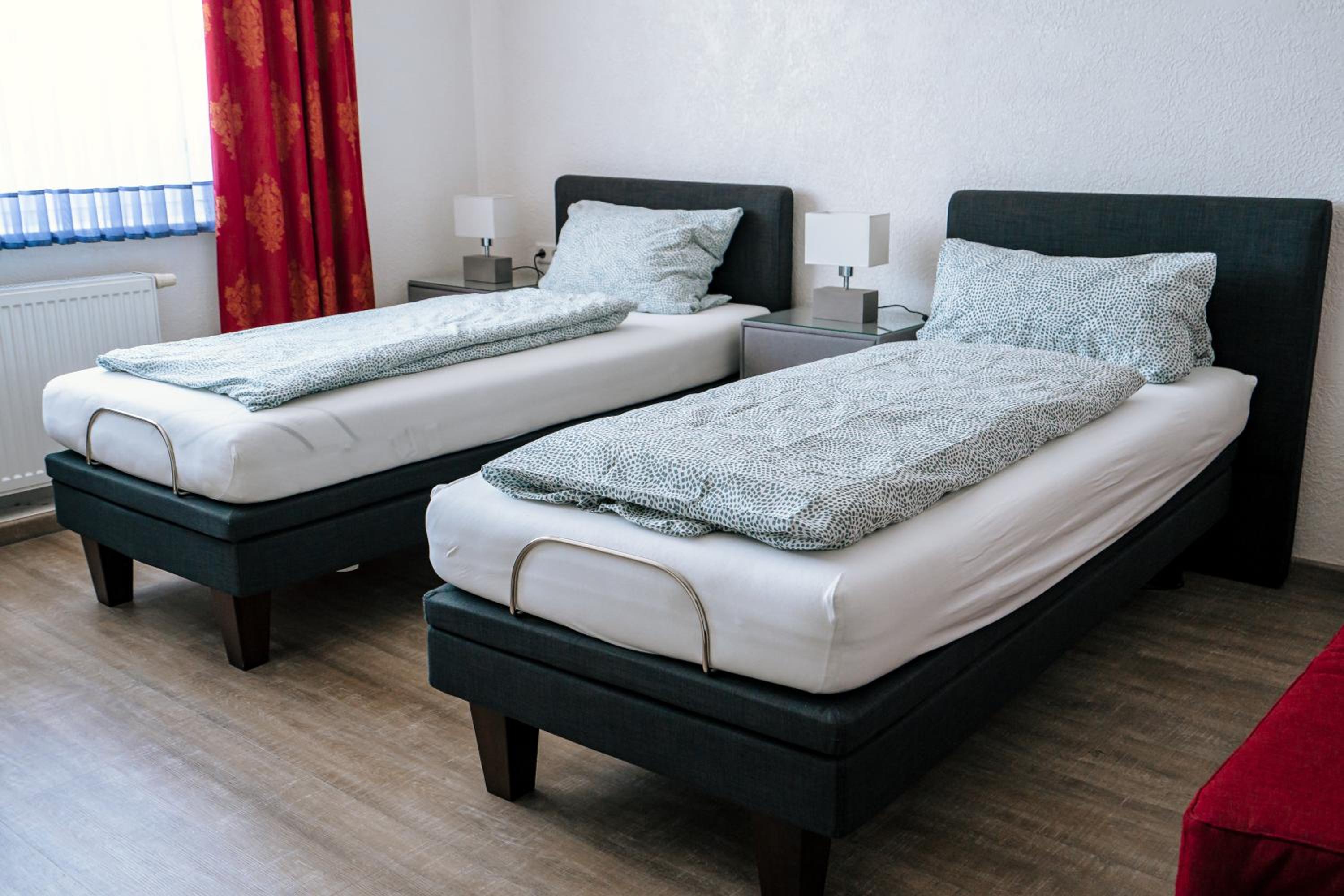 Deluxe Double or Twin Room photo 2